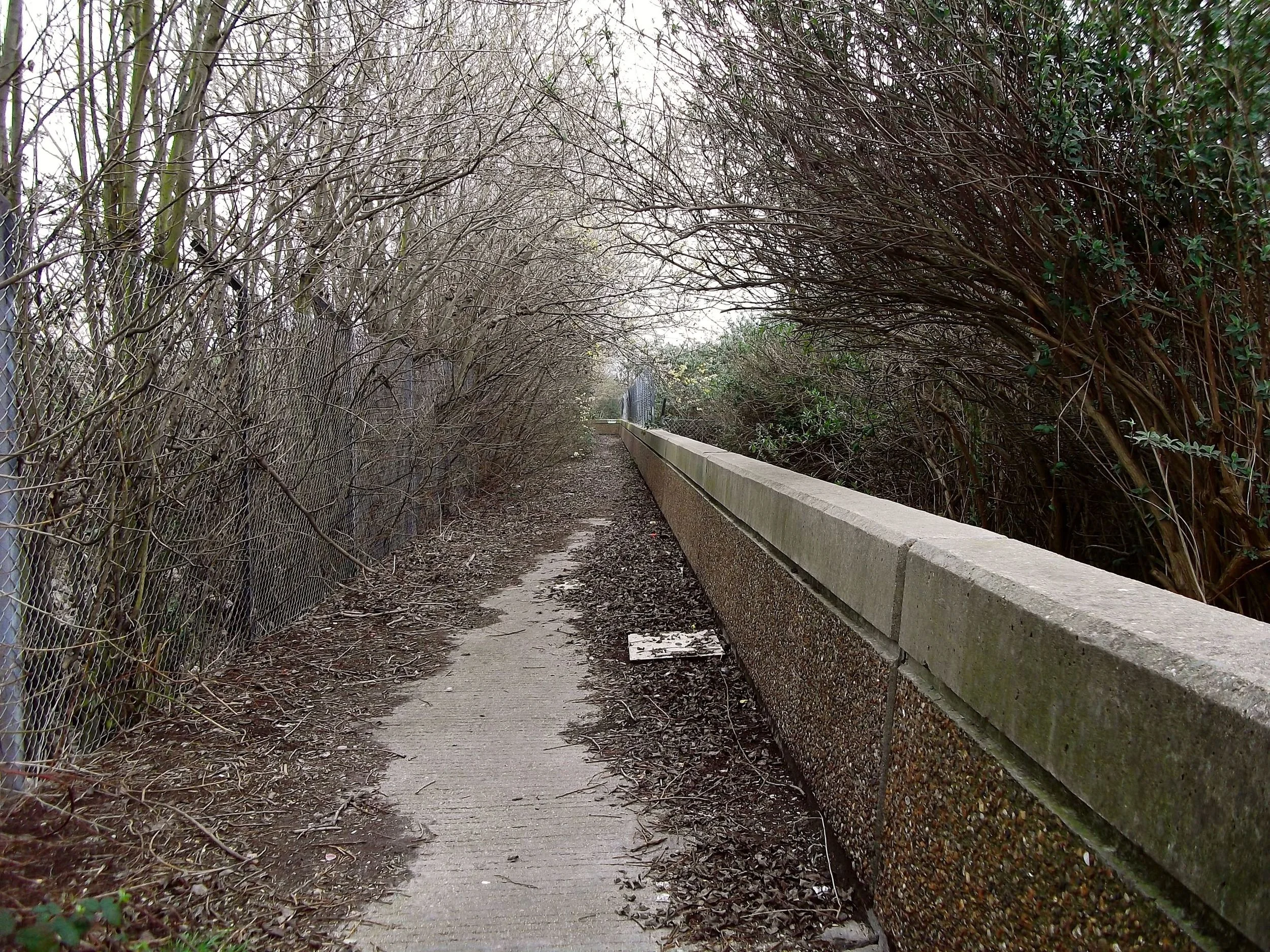 Albert Island thames path London Docklands.jpg