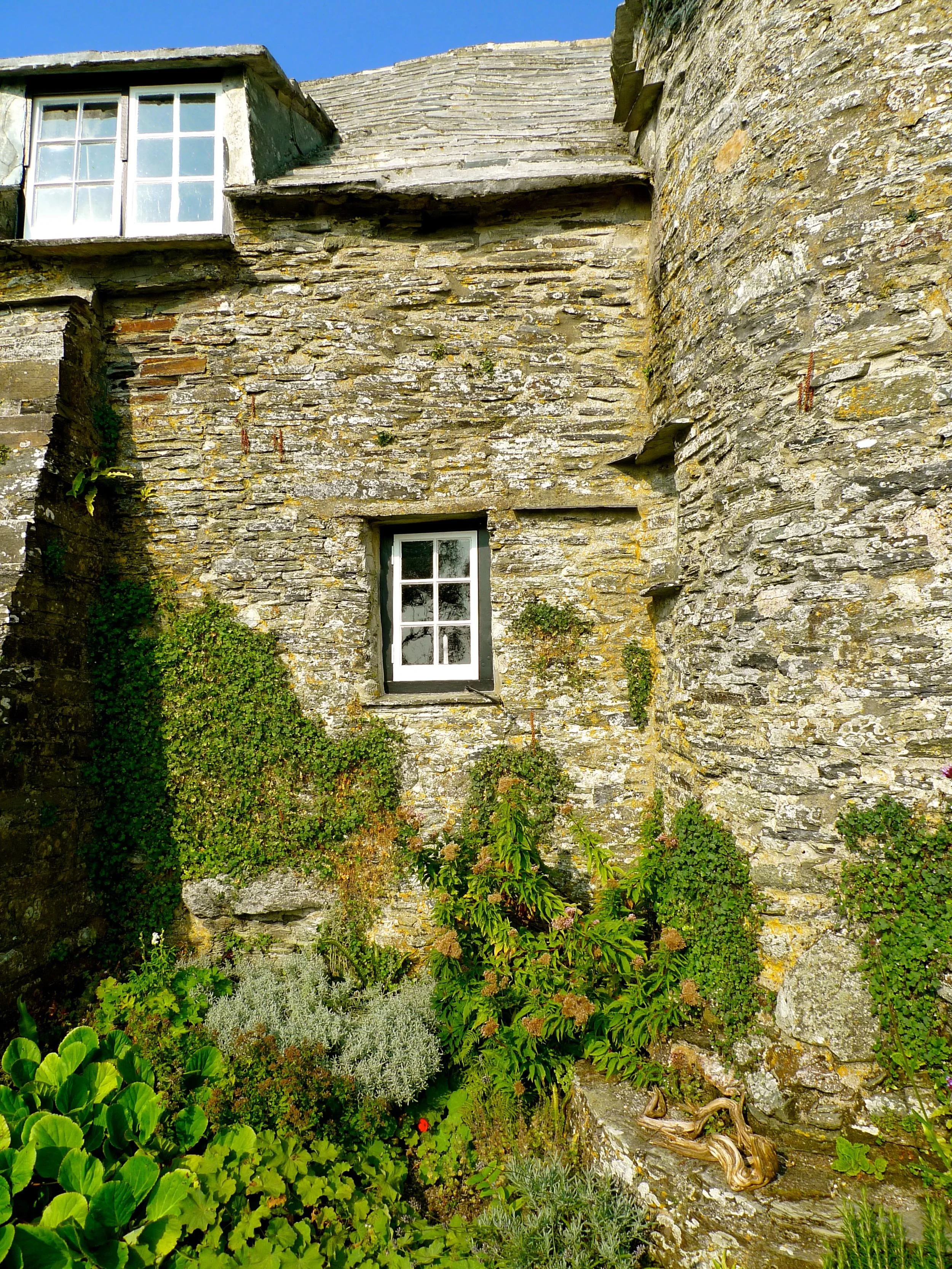 cottage garden.jpg