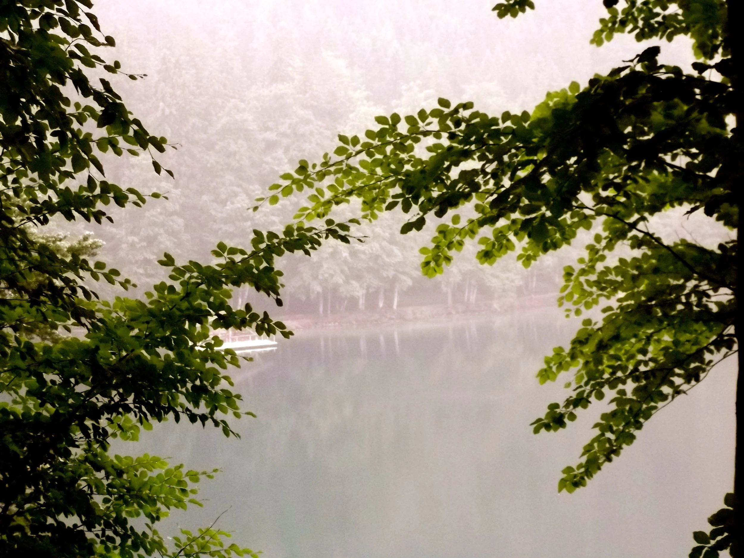 Lunchwithaview.jpg