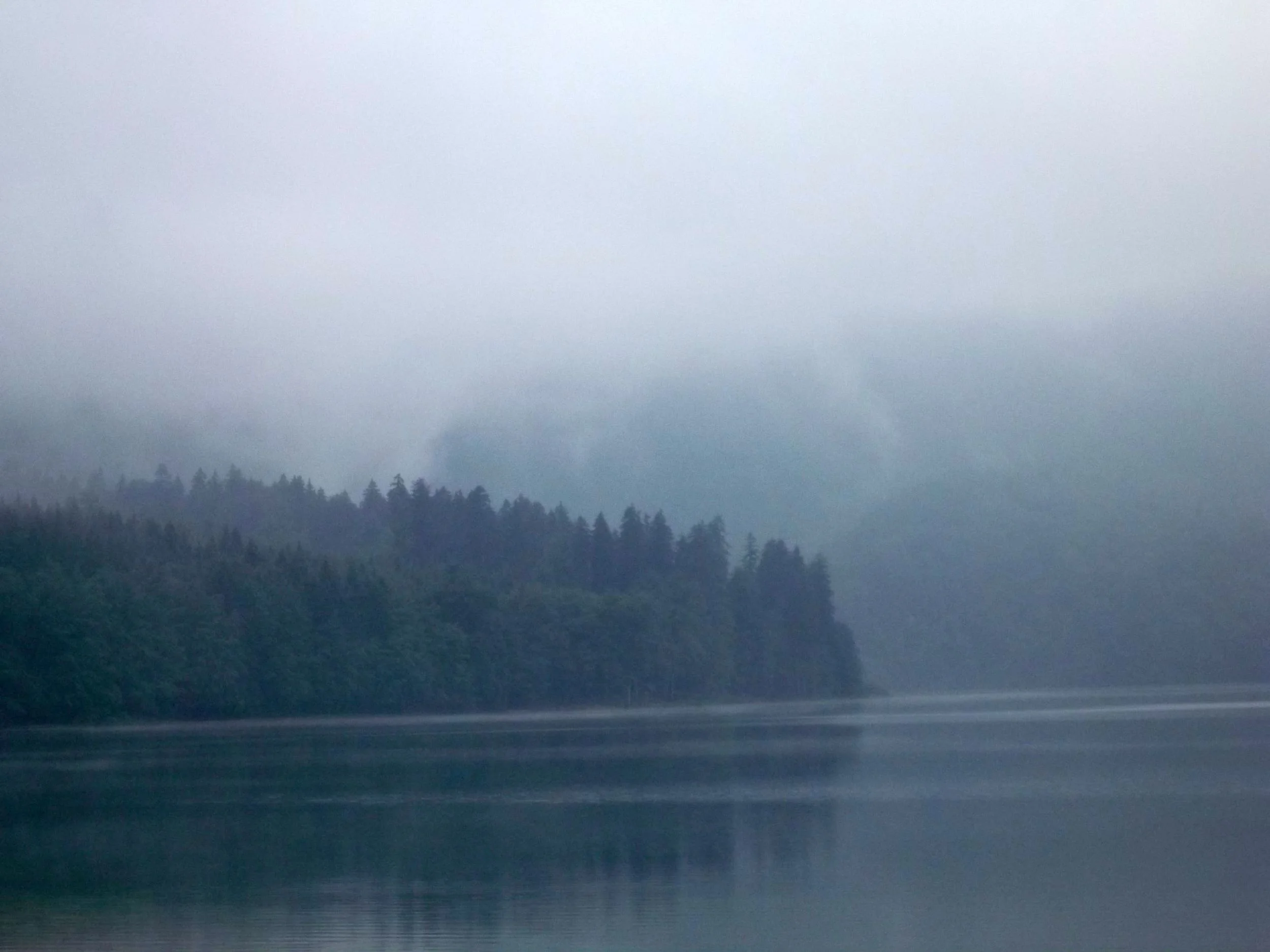 groundlevelviewofthelake.jpg