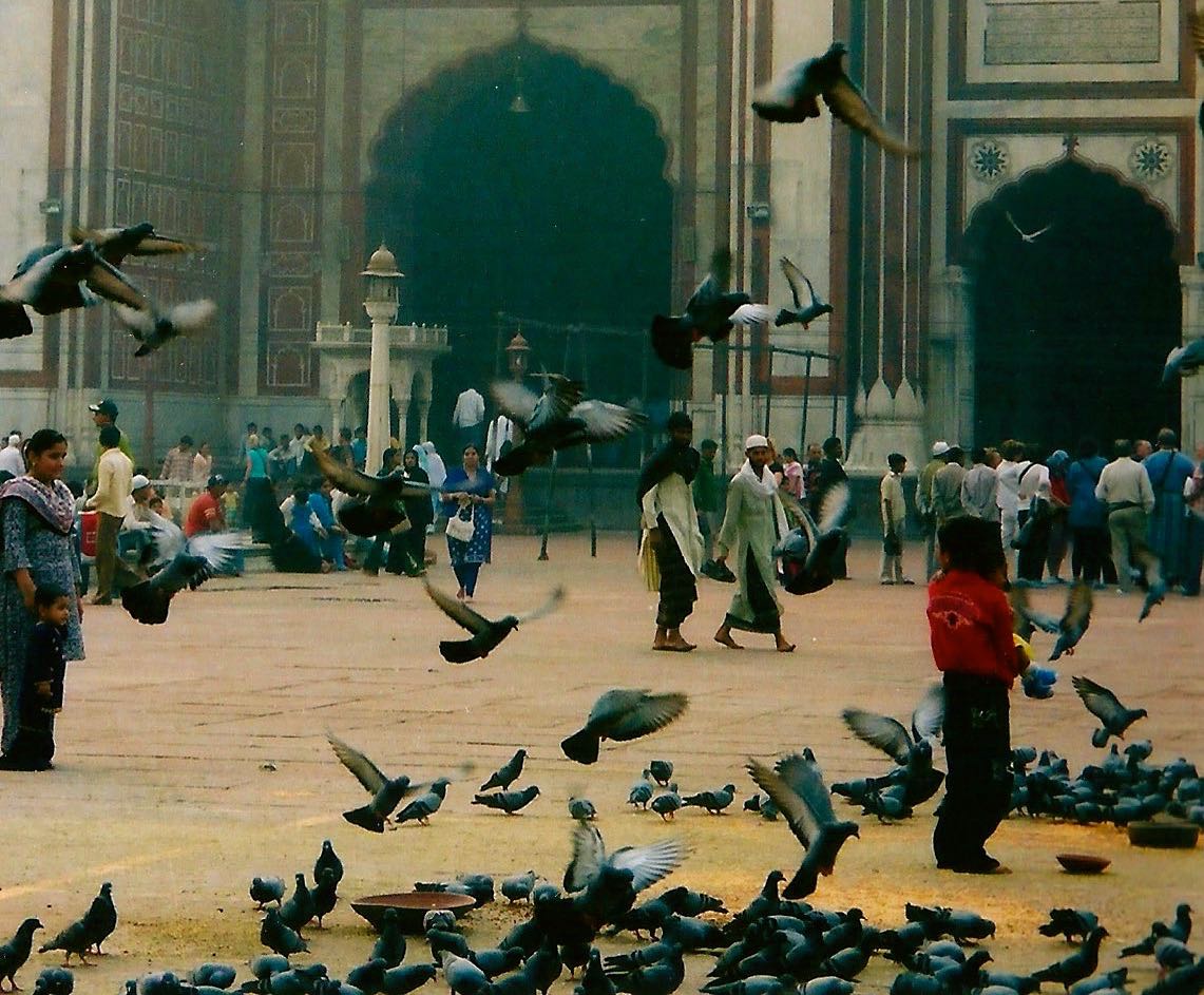 IN THE COURTYARD OF JAMA MASJID, OLD DEHLI