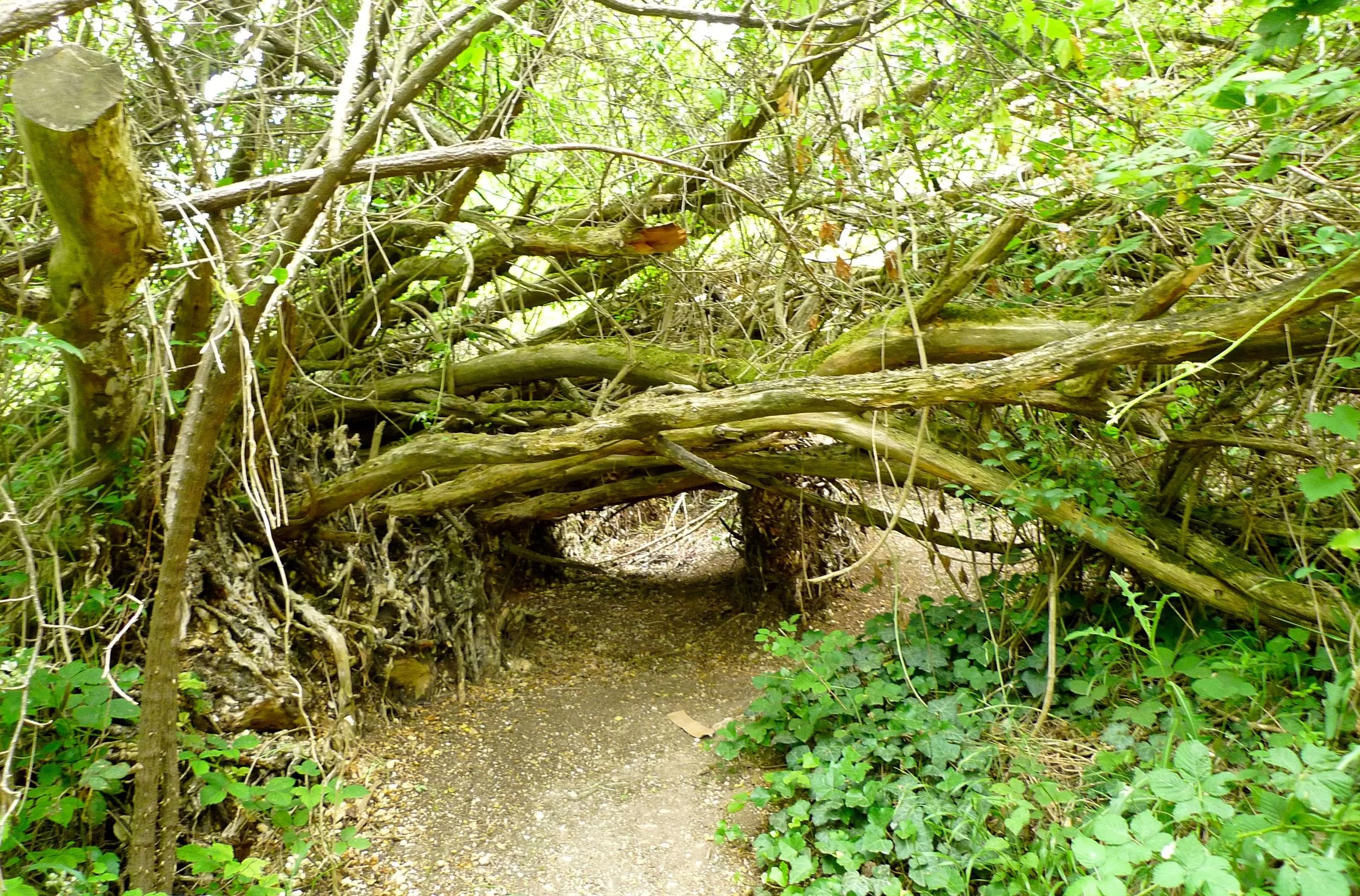 ABoxHillDen.jpg