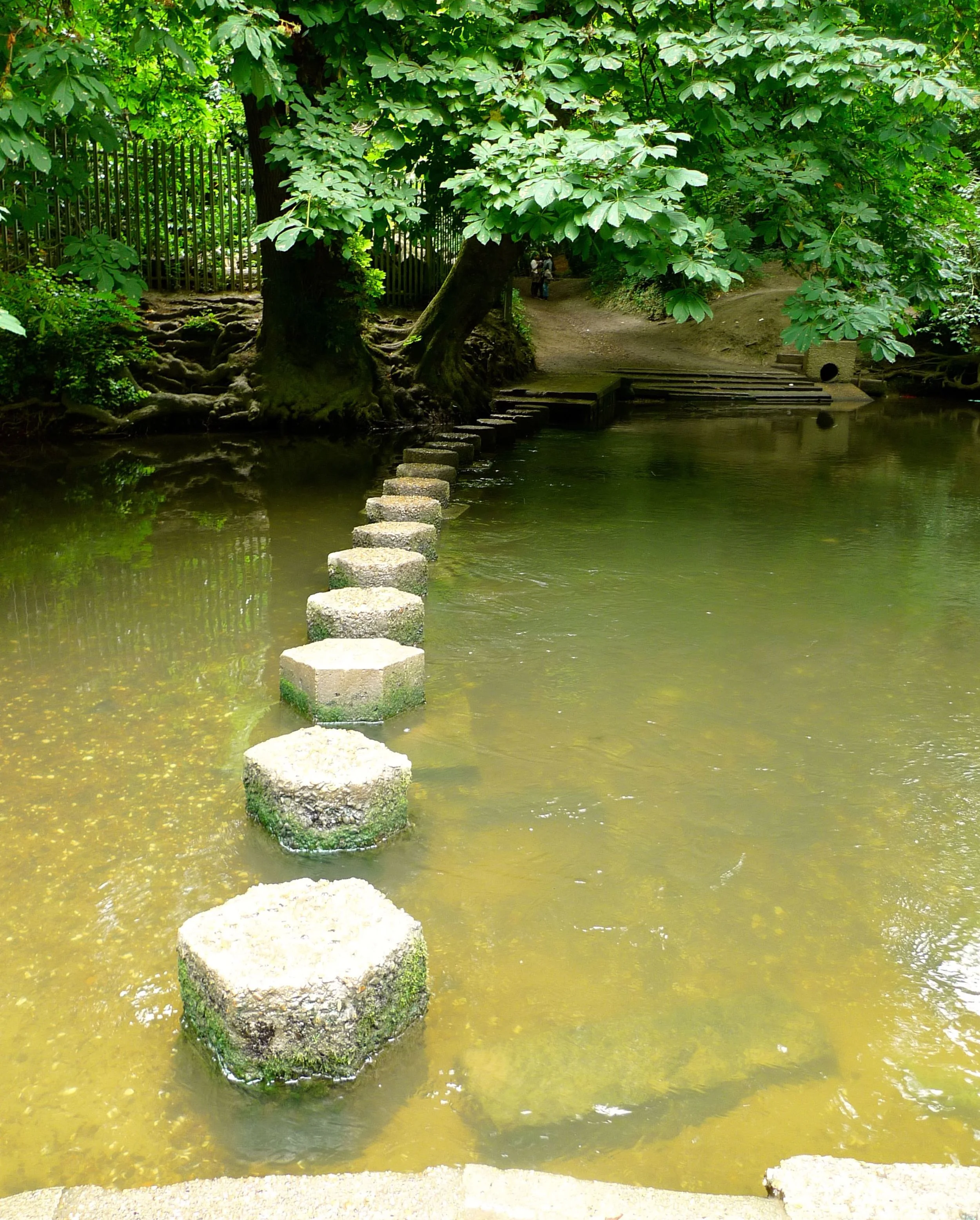 TheSteppingStonesBoxHill.jpg