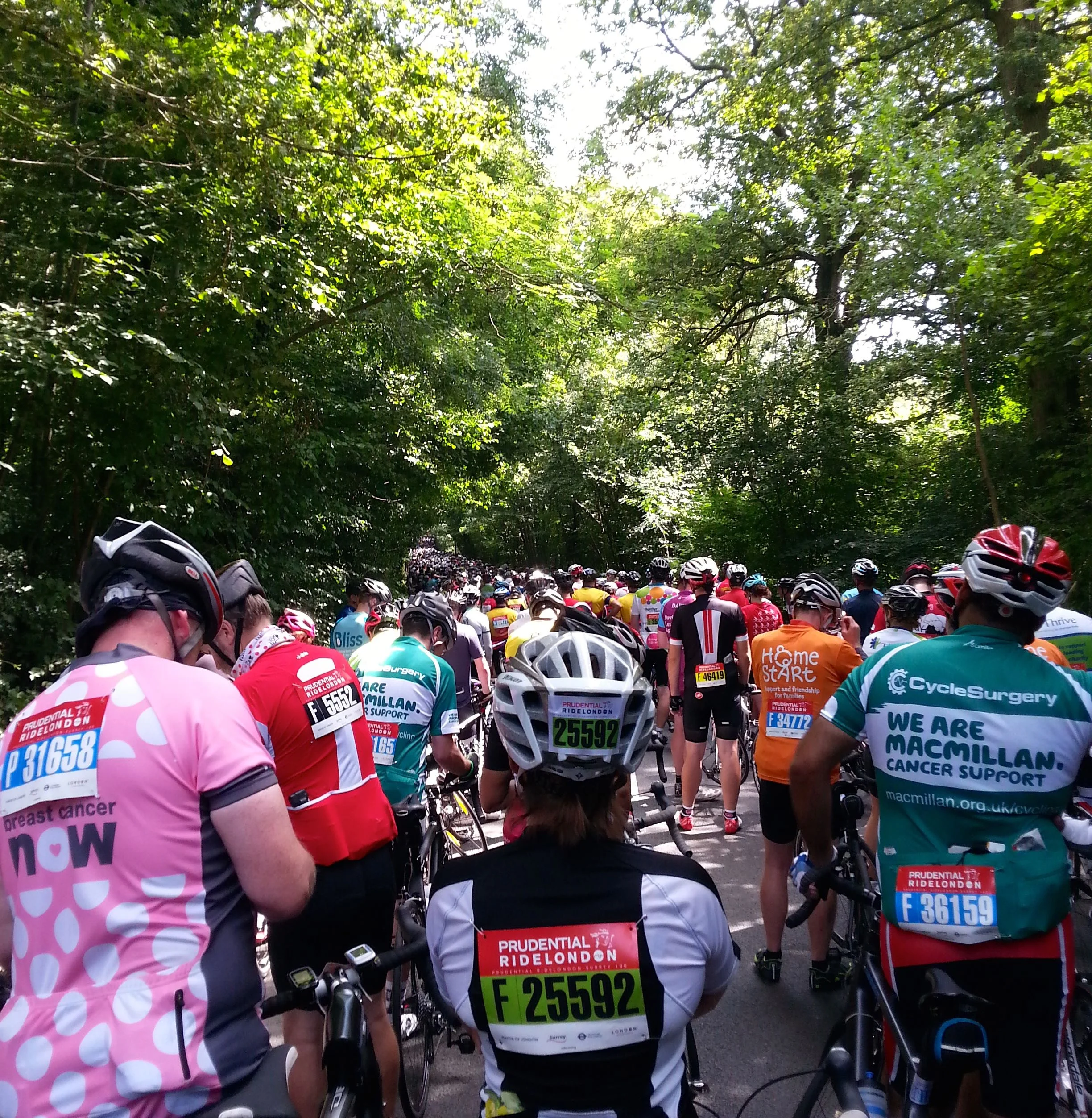 AT LEITH HILL