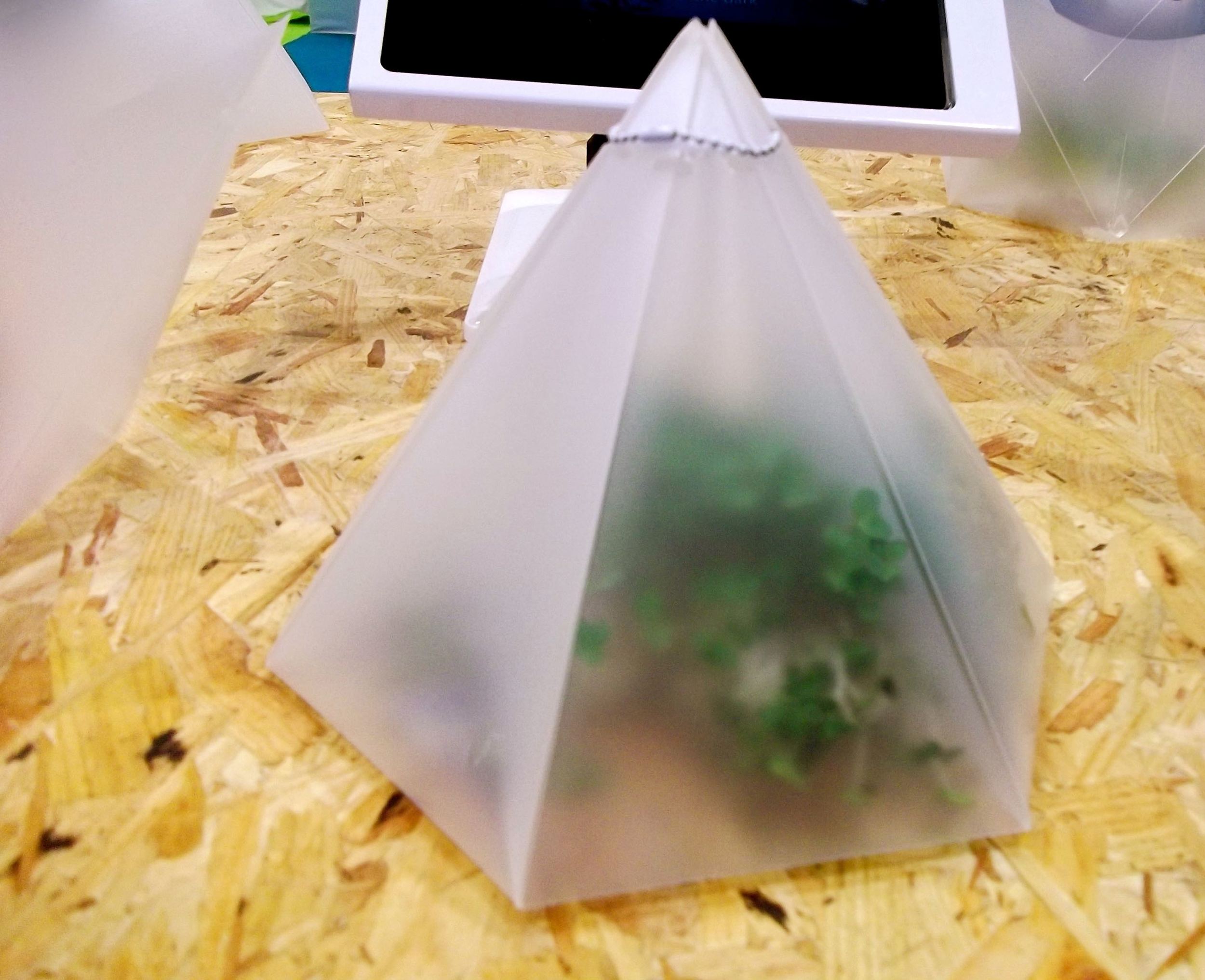 INFARM MICROGARDEN