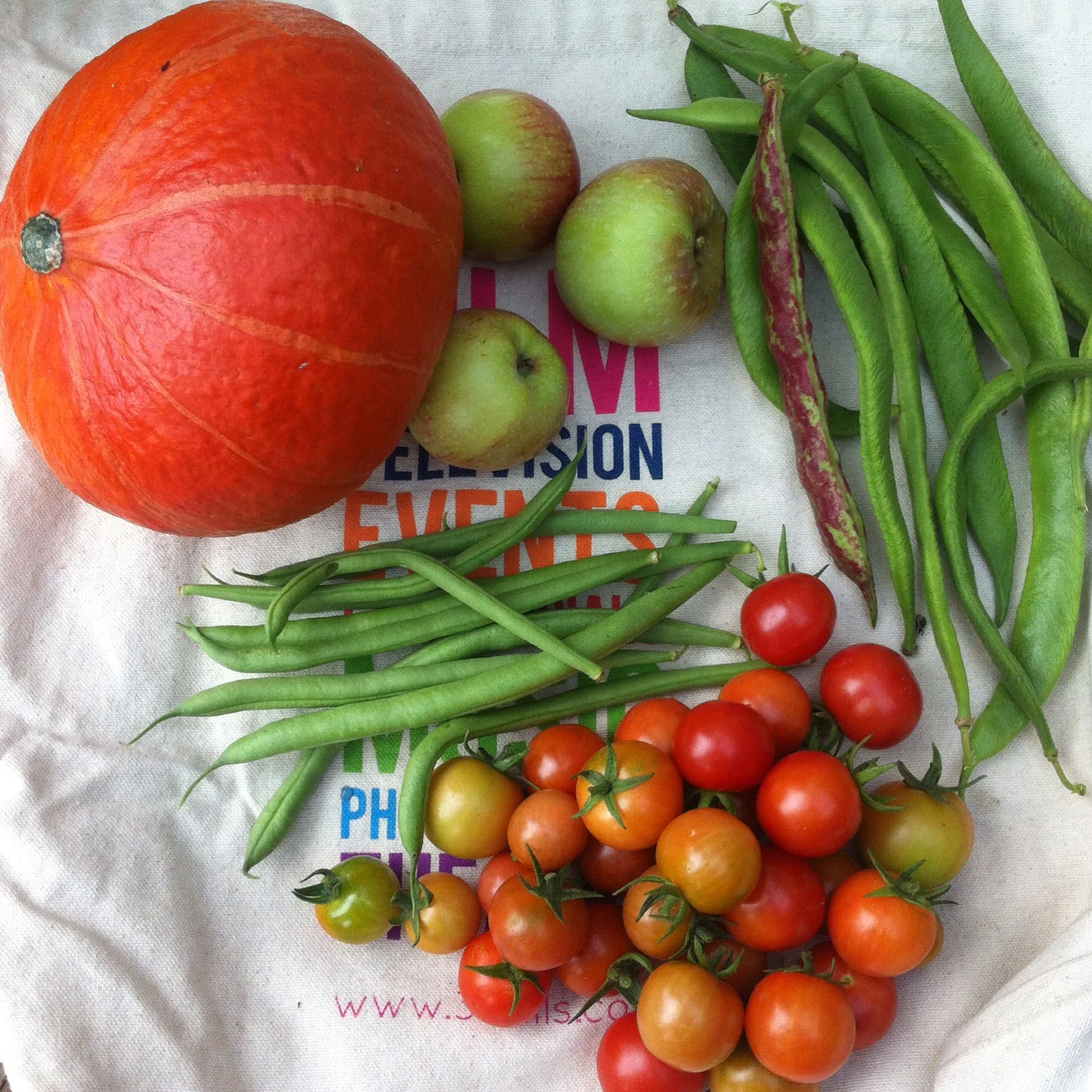 THE HARVEST FROM OUR ALLOTMENT