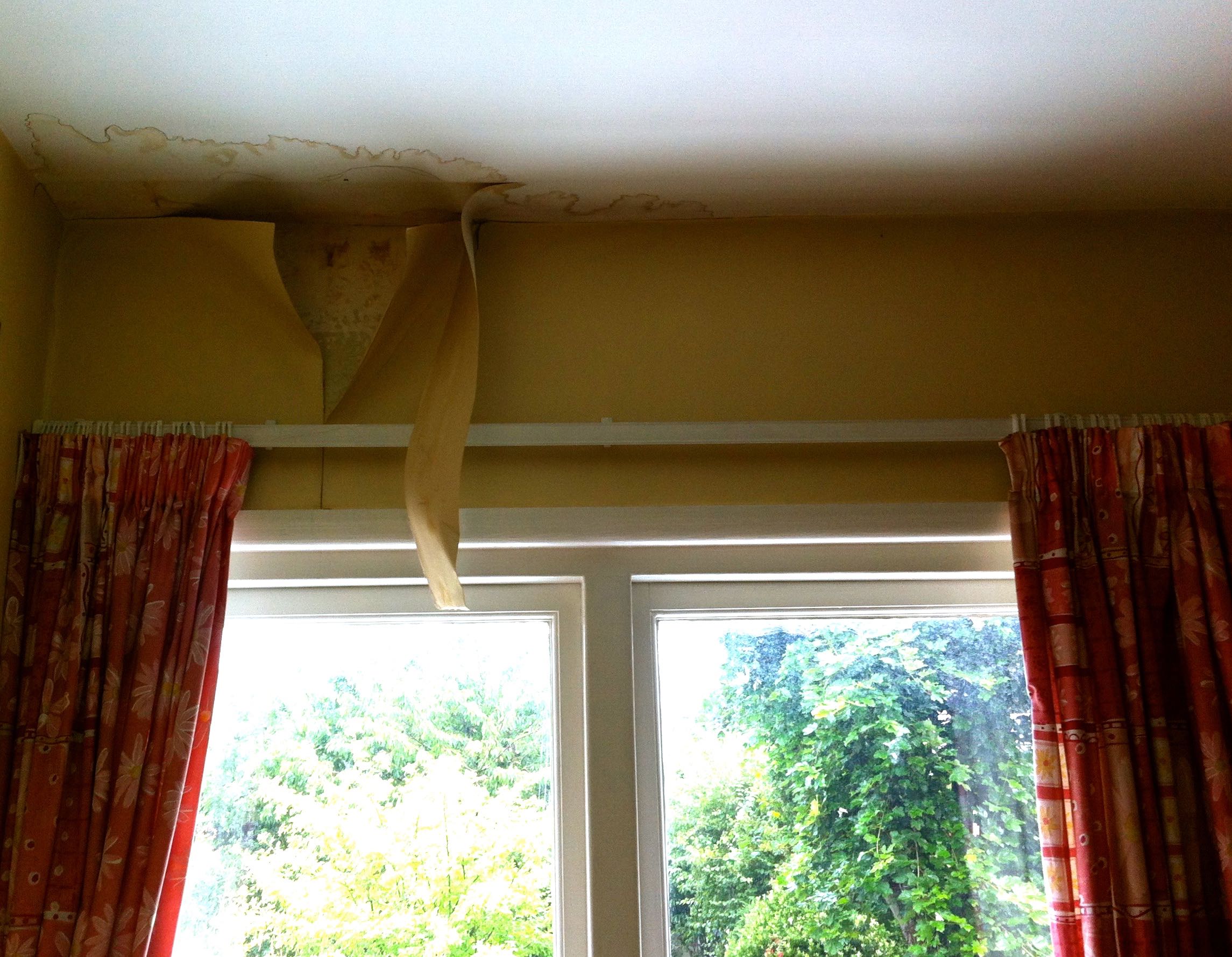 OUR UNSIGHTLY CORNER!