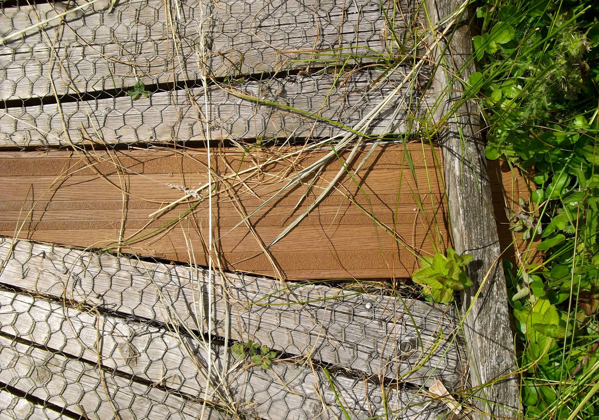 NEW AND OLD BOARDWALK