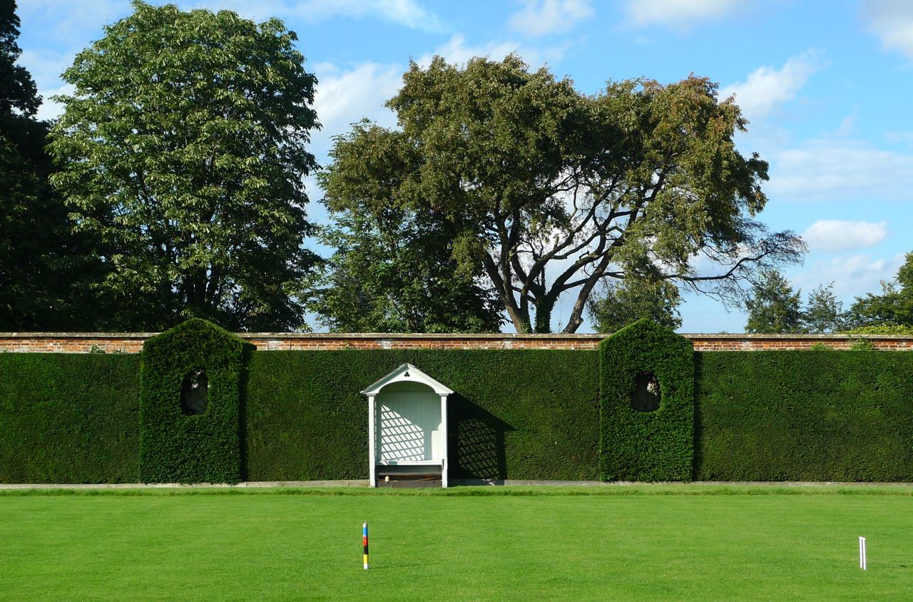 ANYONE FOR CROQUET?