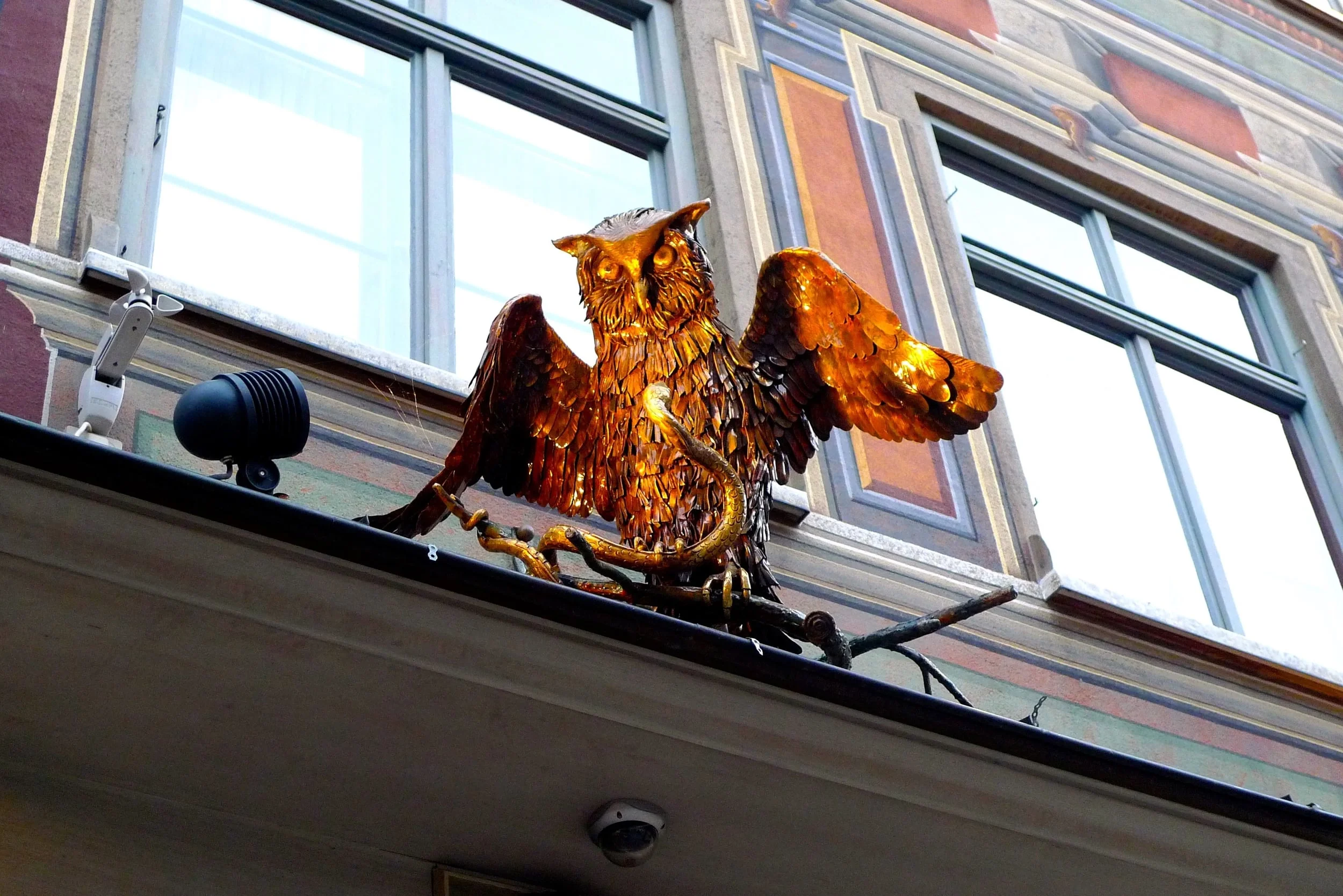 goldenowl.jpg
