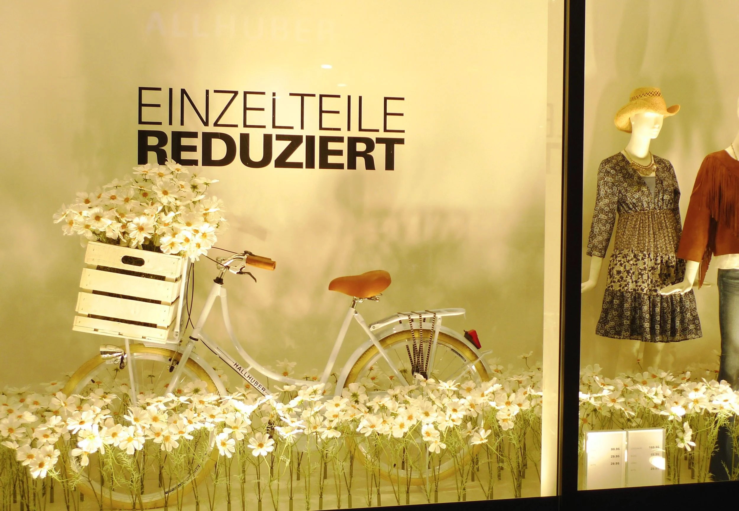 Bike Shop Window