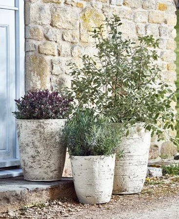 BIRCH EFFECT PLANTERS, PHOTO CREDIT COX &amp; COX