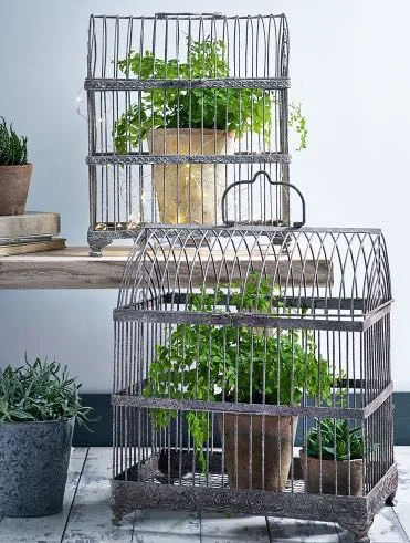 AGED METAL BIRD CAGES, PHOTO CREDIT COX &amp; COX