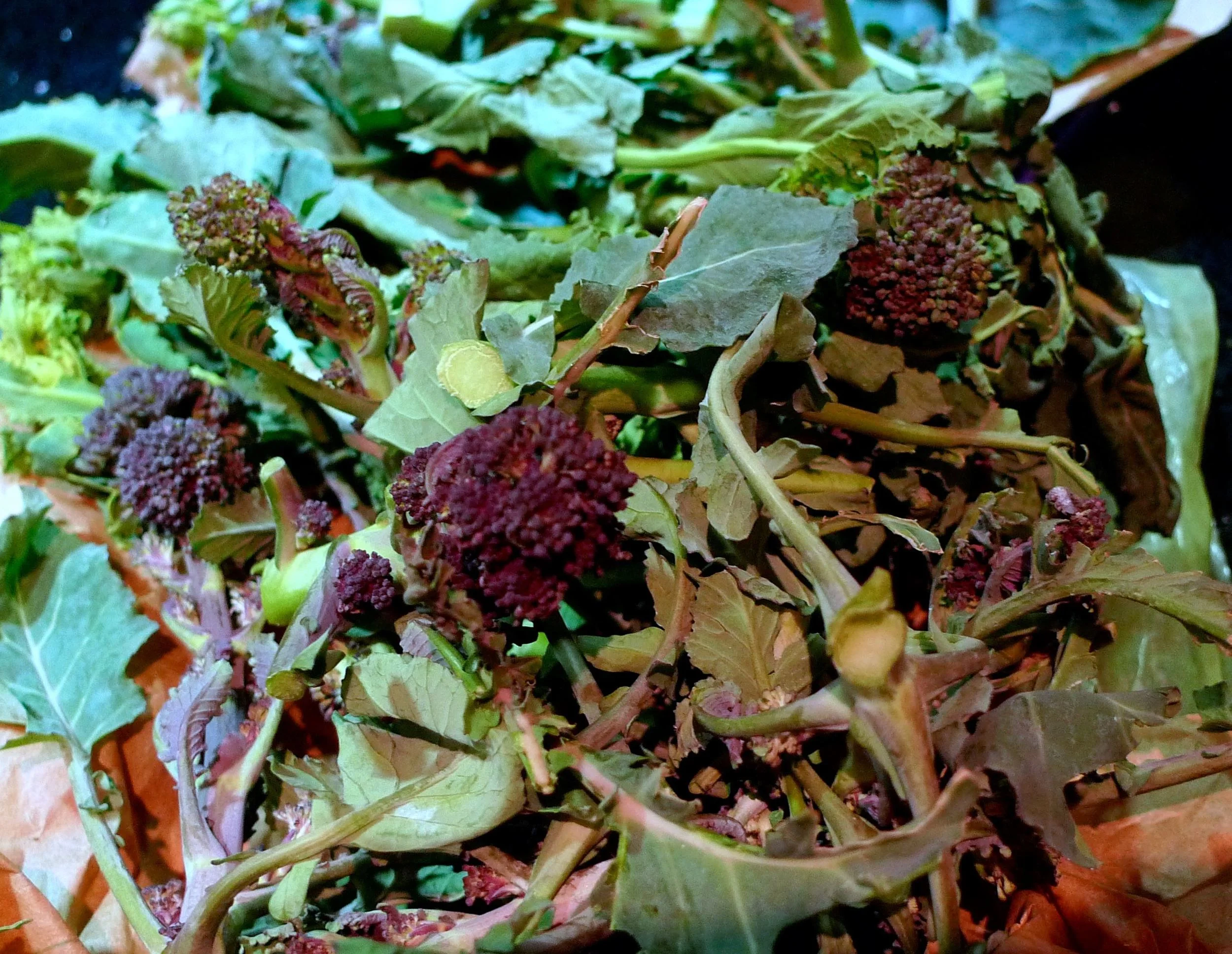 purple sprouting broccoli