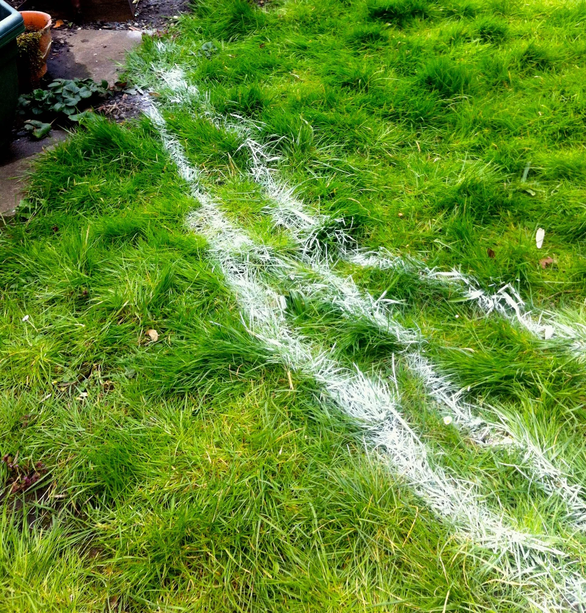 Circles, spray paint and another plan for my garden
