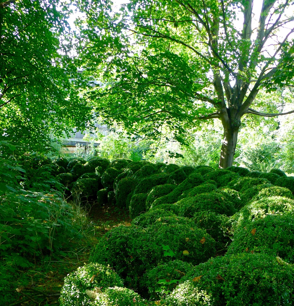 See more at: Hedges and huts at Houghton Hall