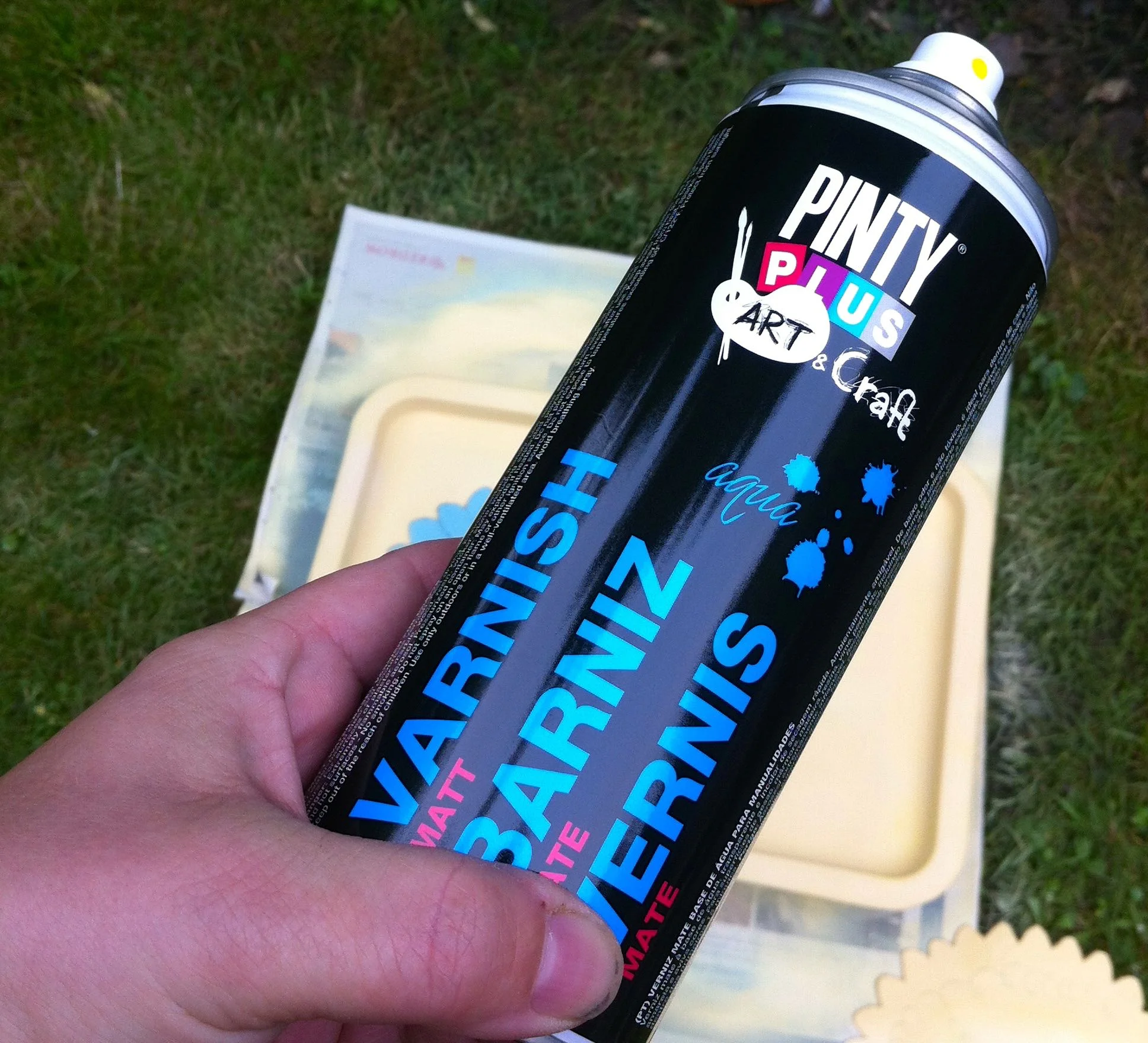 Pinty Plus Matt Varnish Spray