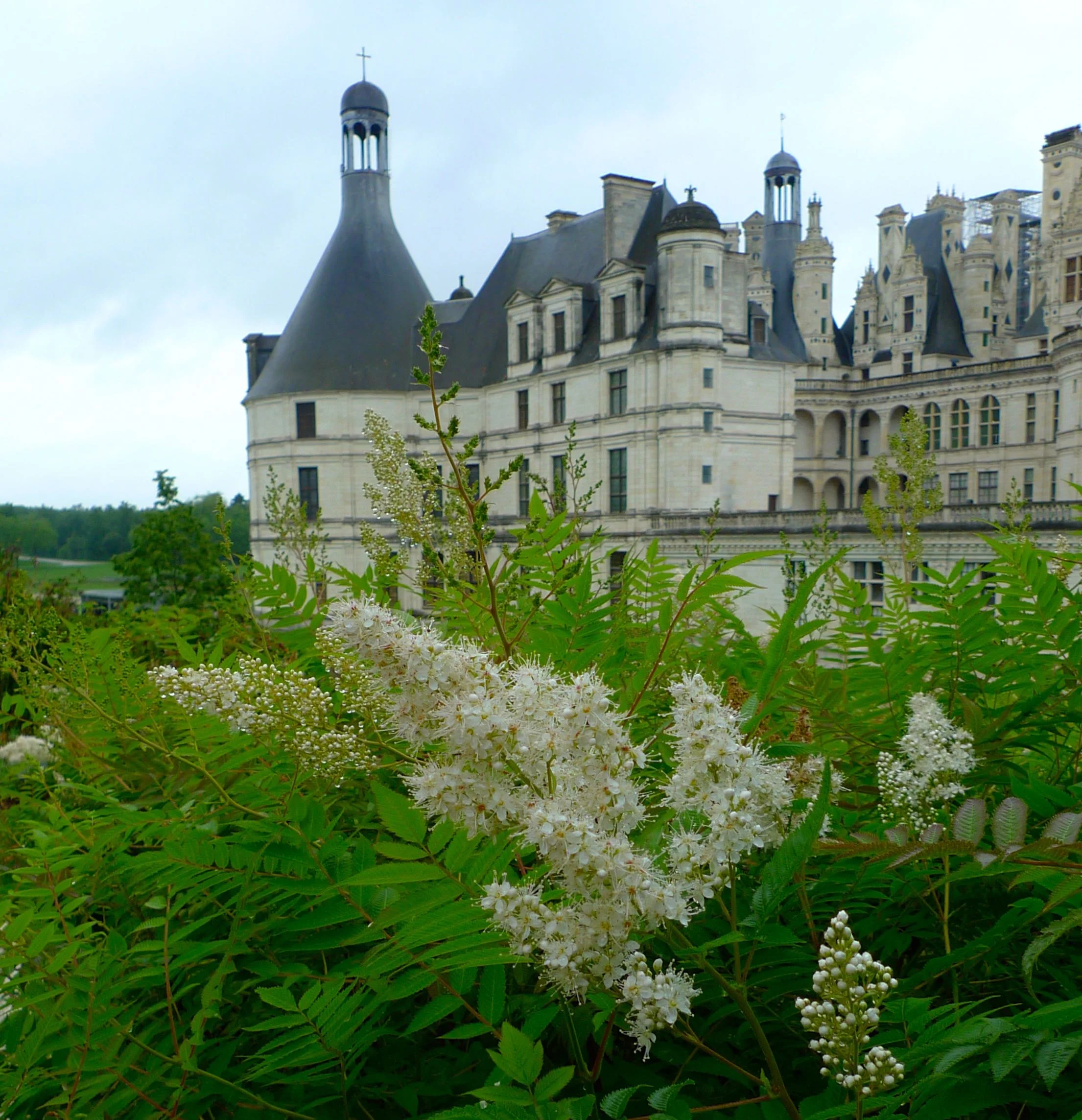 THE CHATEAU DE CHAMBORD FROM THE GARDENS