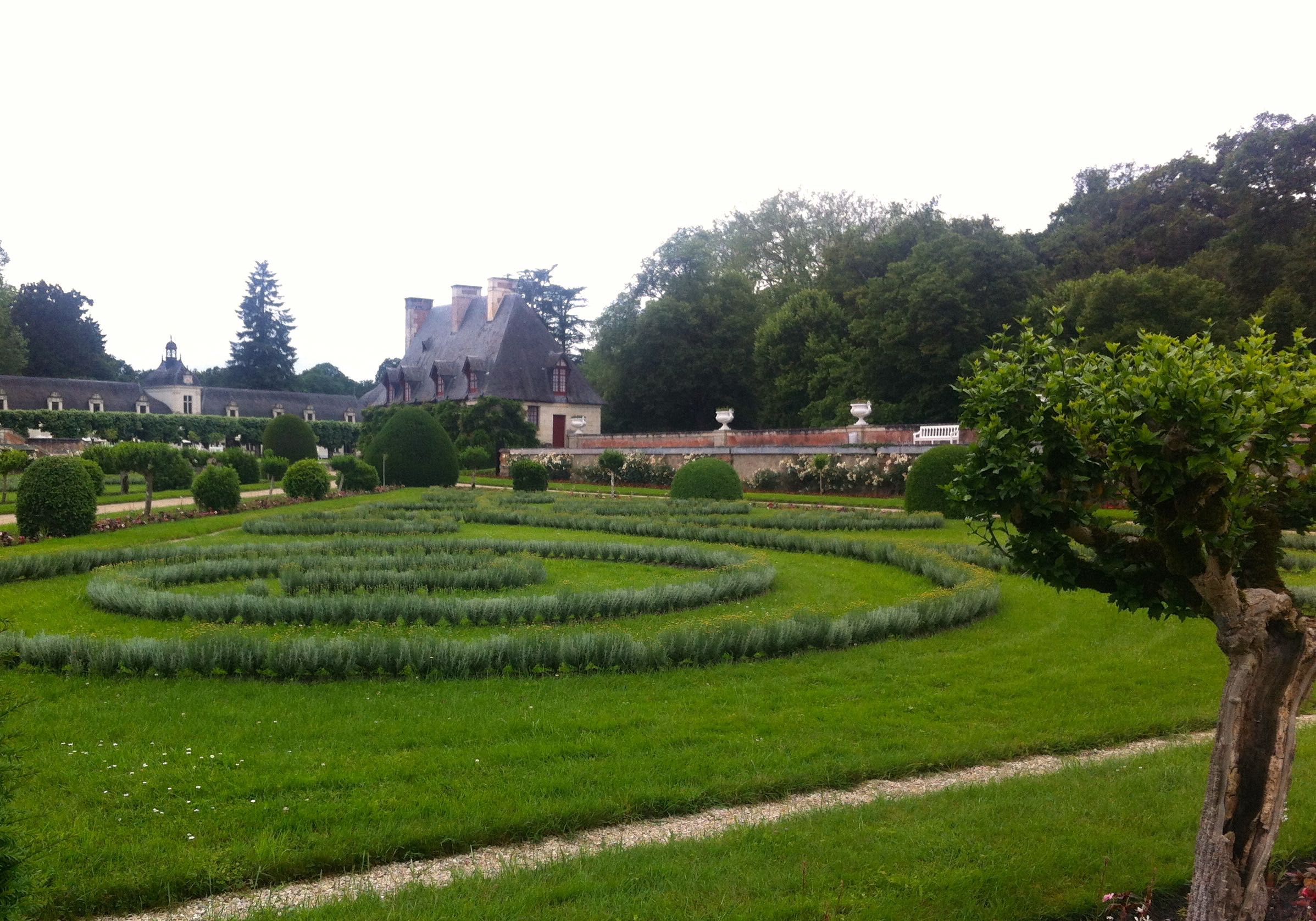 THE PLANT FORMING THE PATTERN ISN'T LAVENDER, BUT SANTOLINI