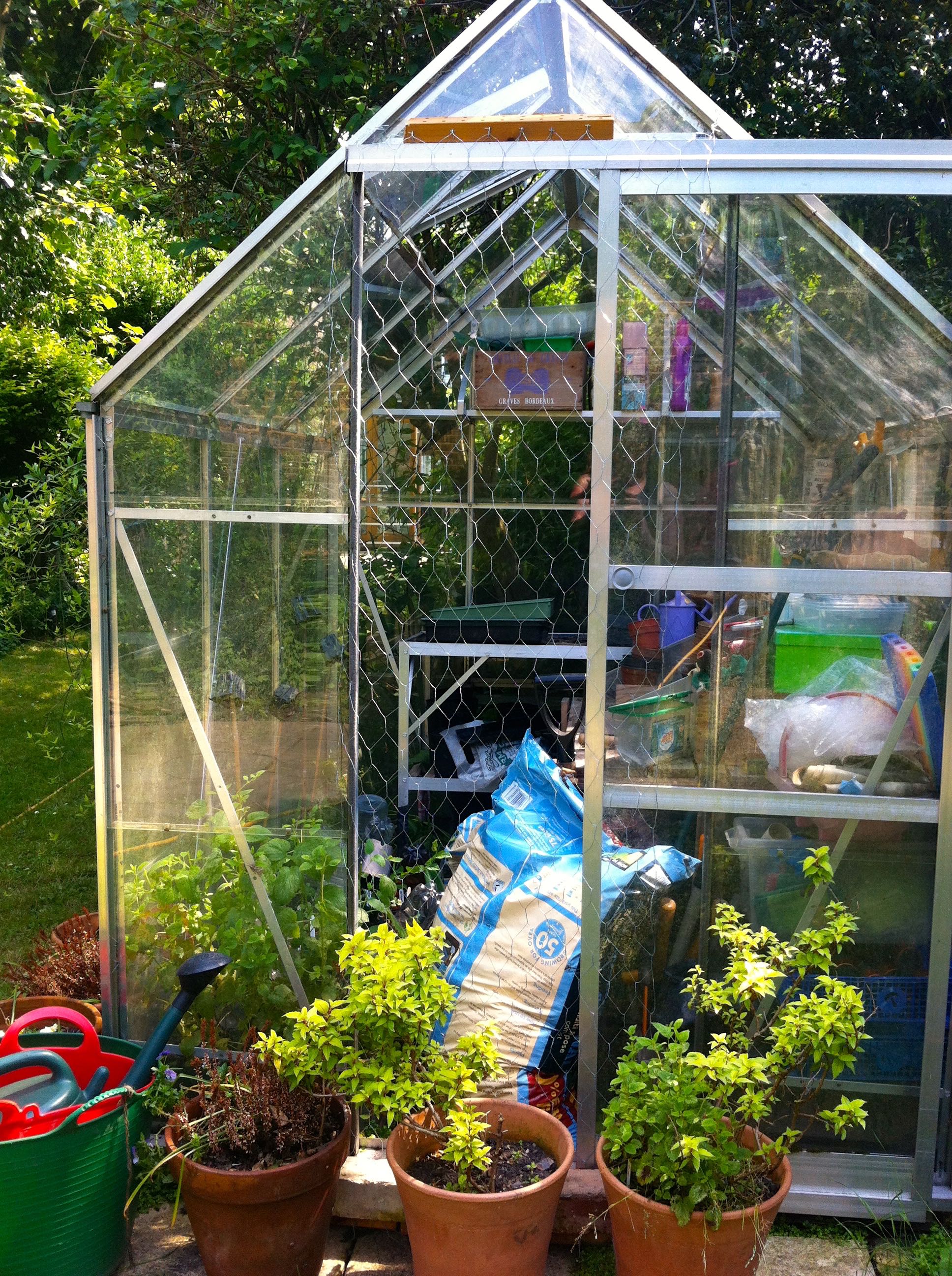 I added a couple of bricks to the blocks and then put pots in front of it to deter them further