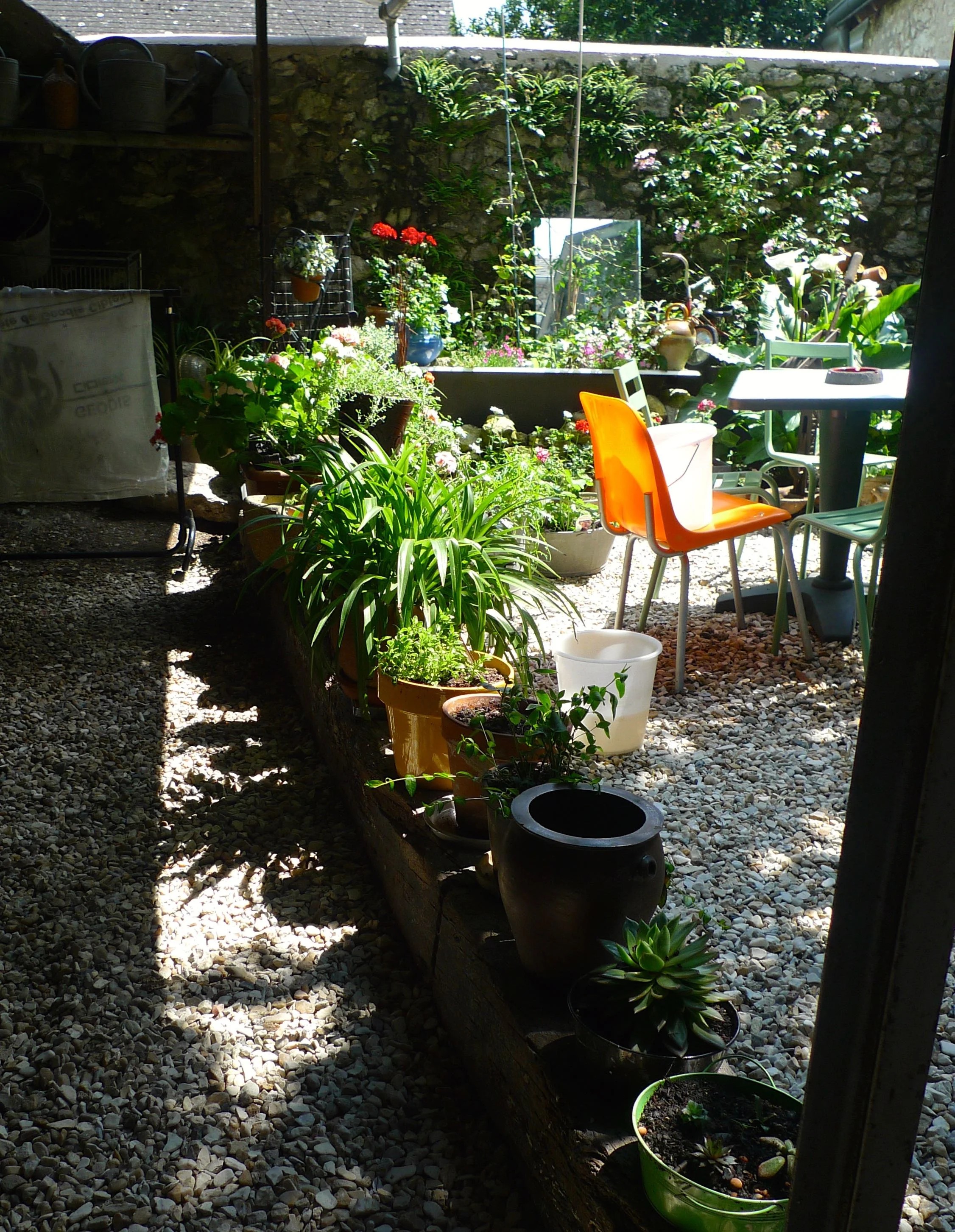 The courtyard garden
