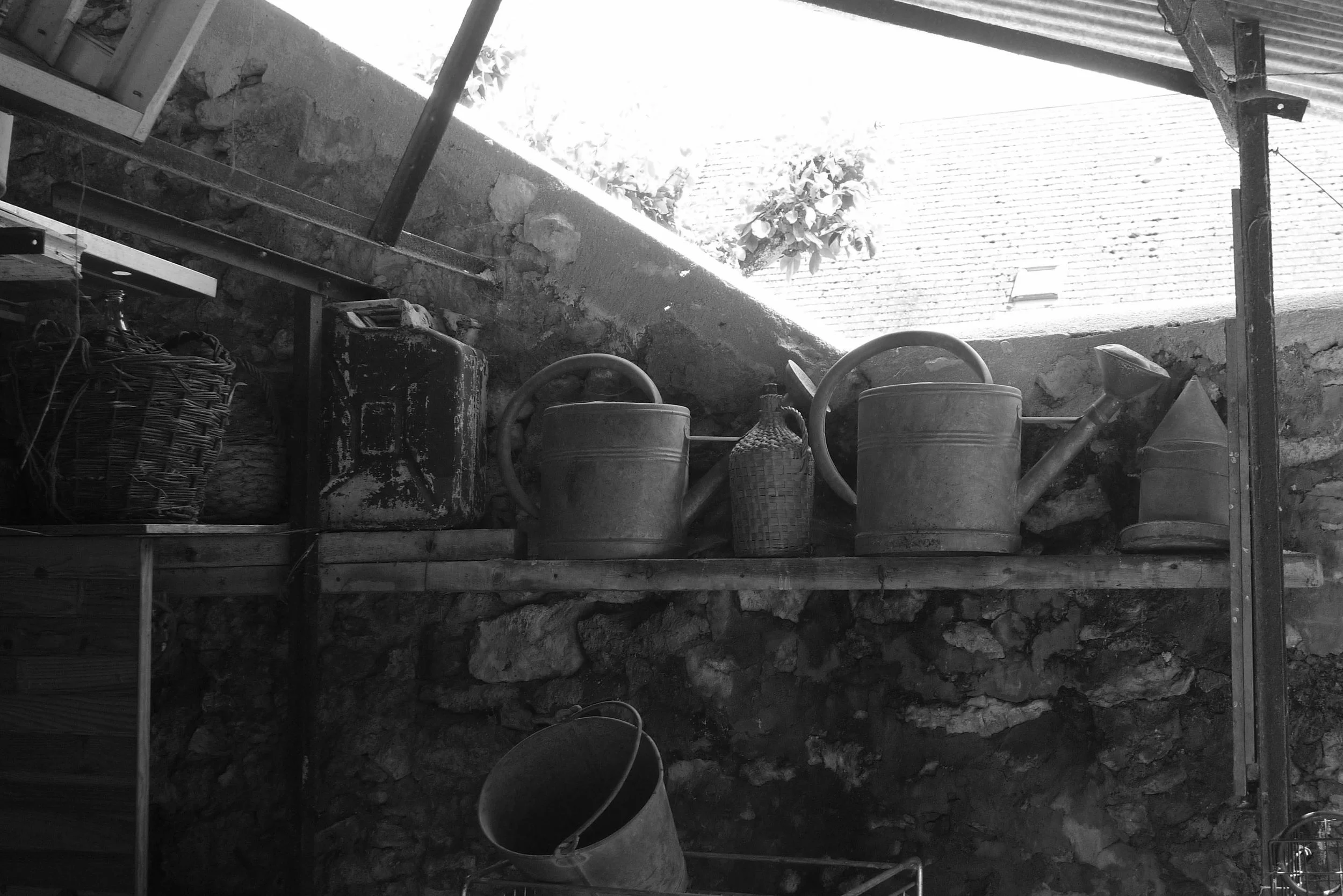 A collection of tin watering cans