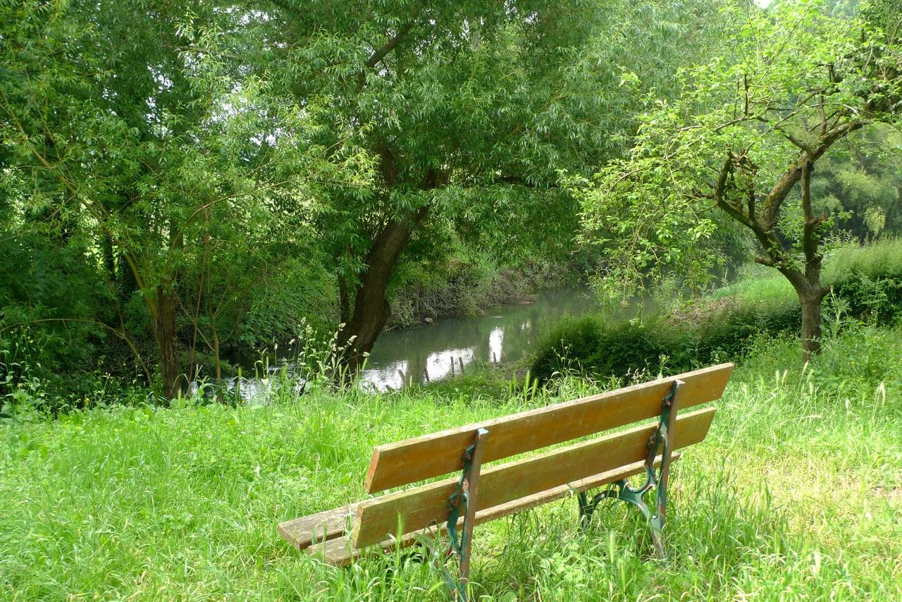 A bench with a view and scents of elderflower
