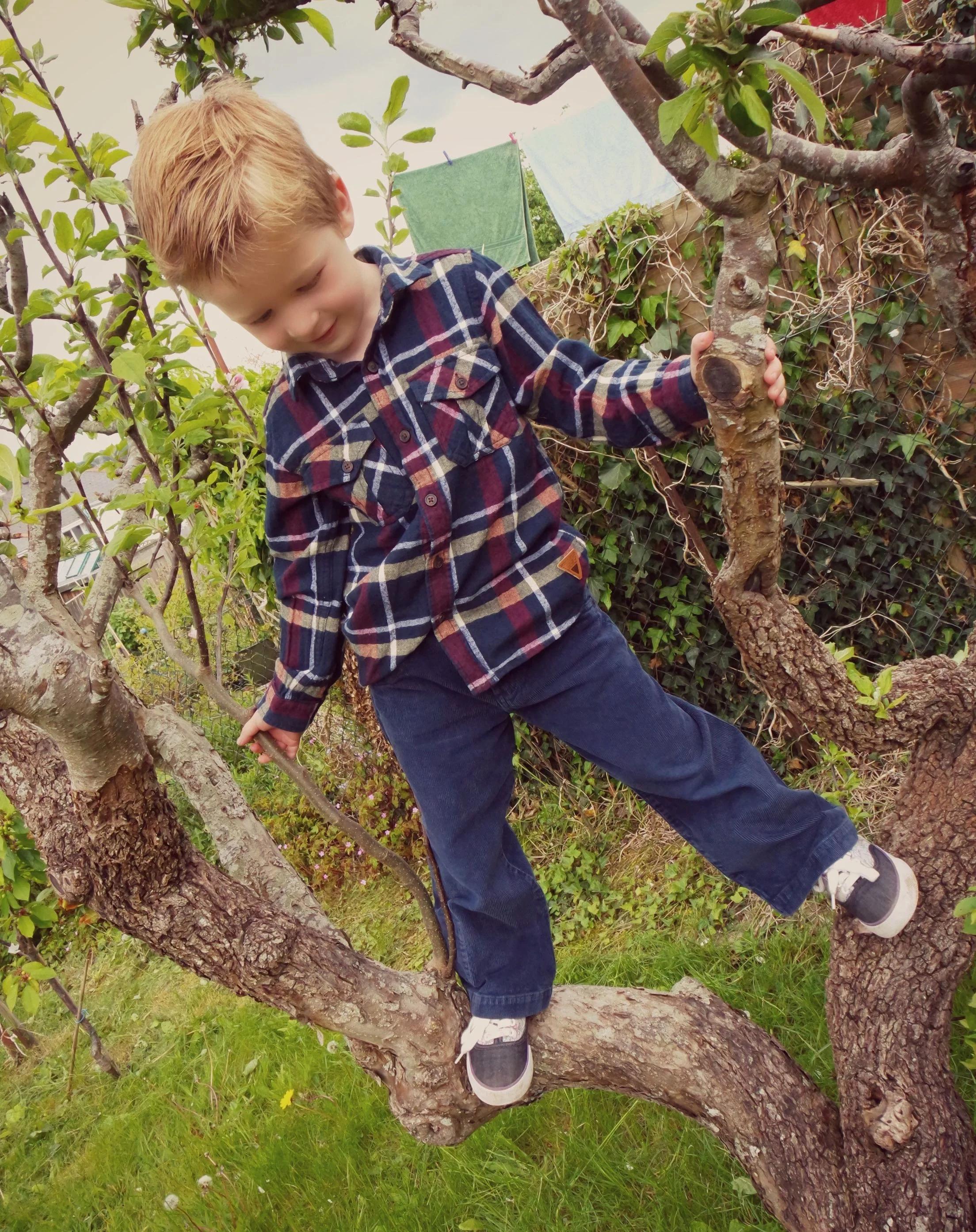 The Parenting Jungle