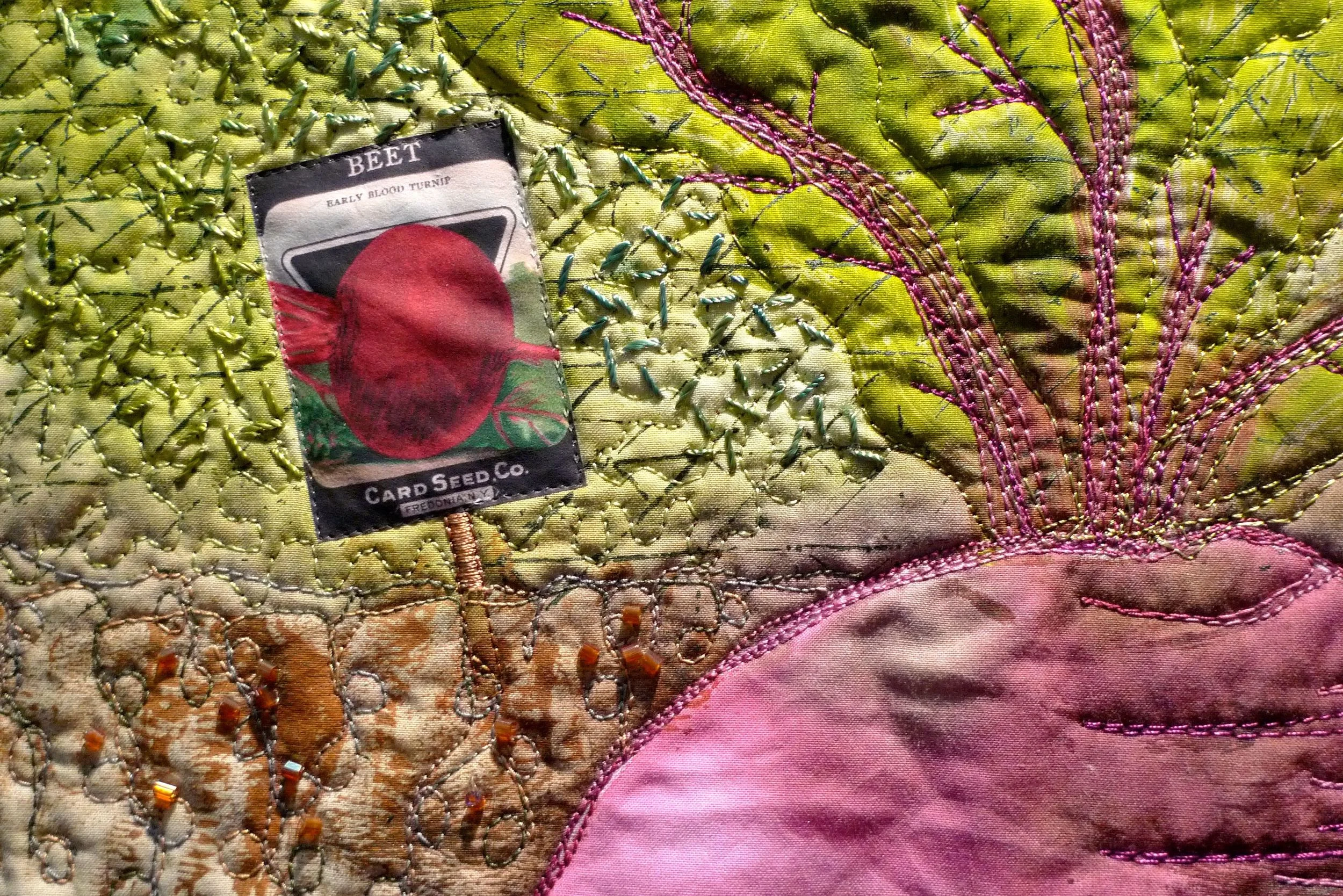 A closer look at the beetroot and the seed packet