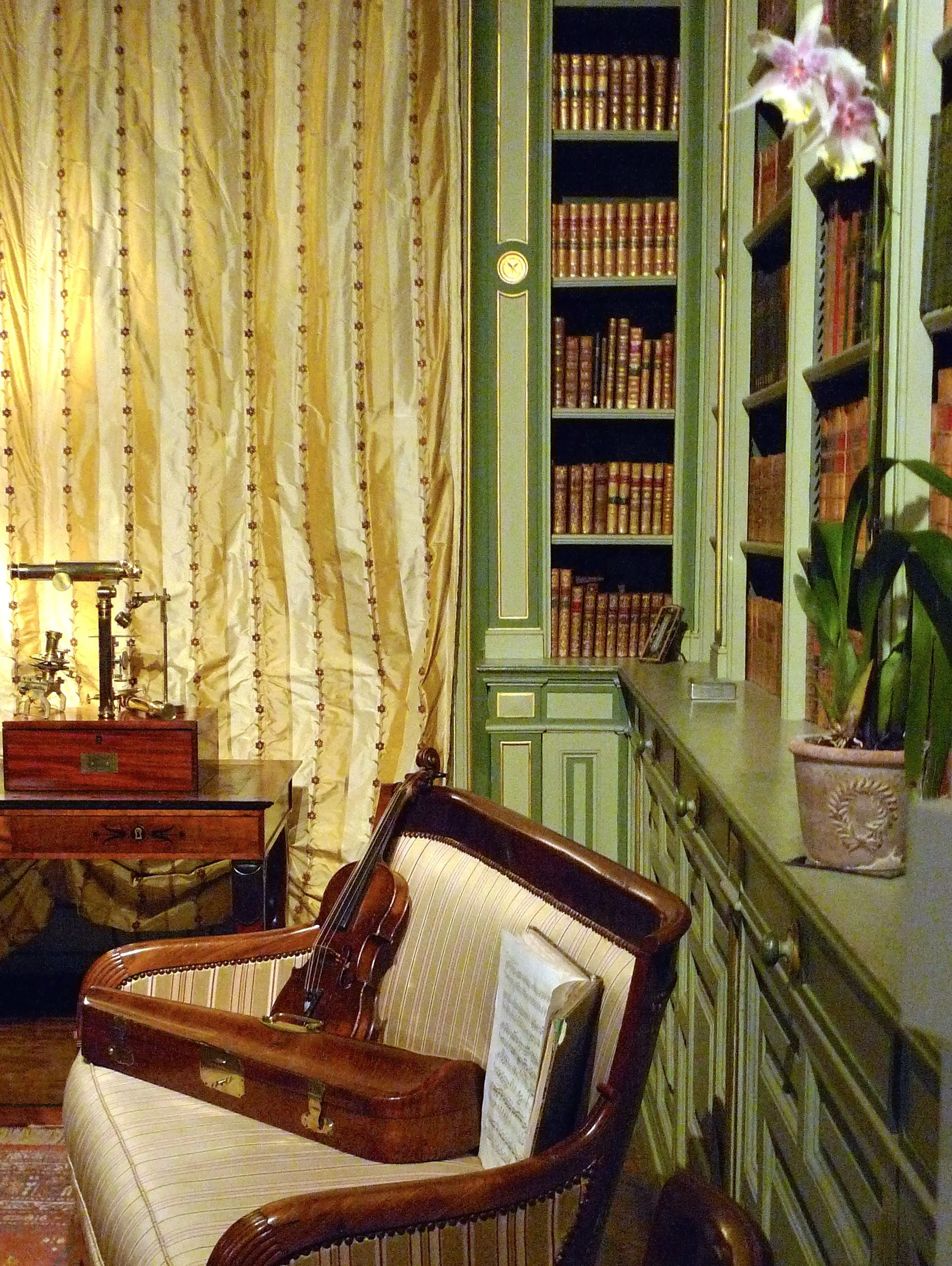 A VIOLIN AND A MUSIC SCORE