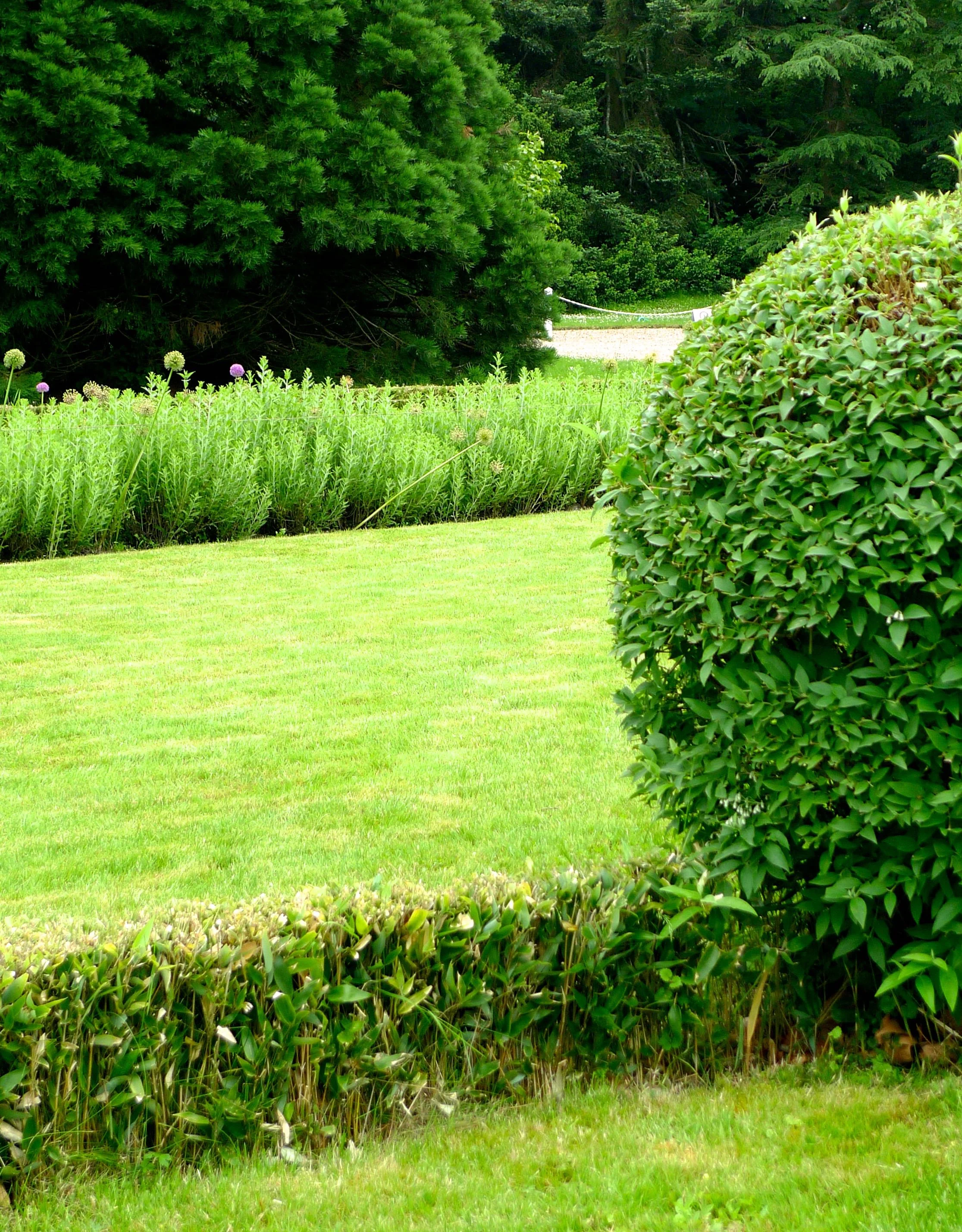 A large spherical shape