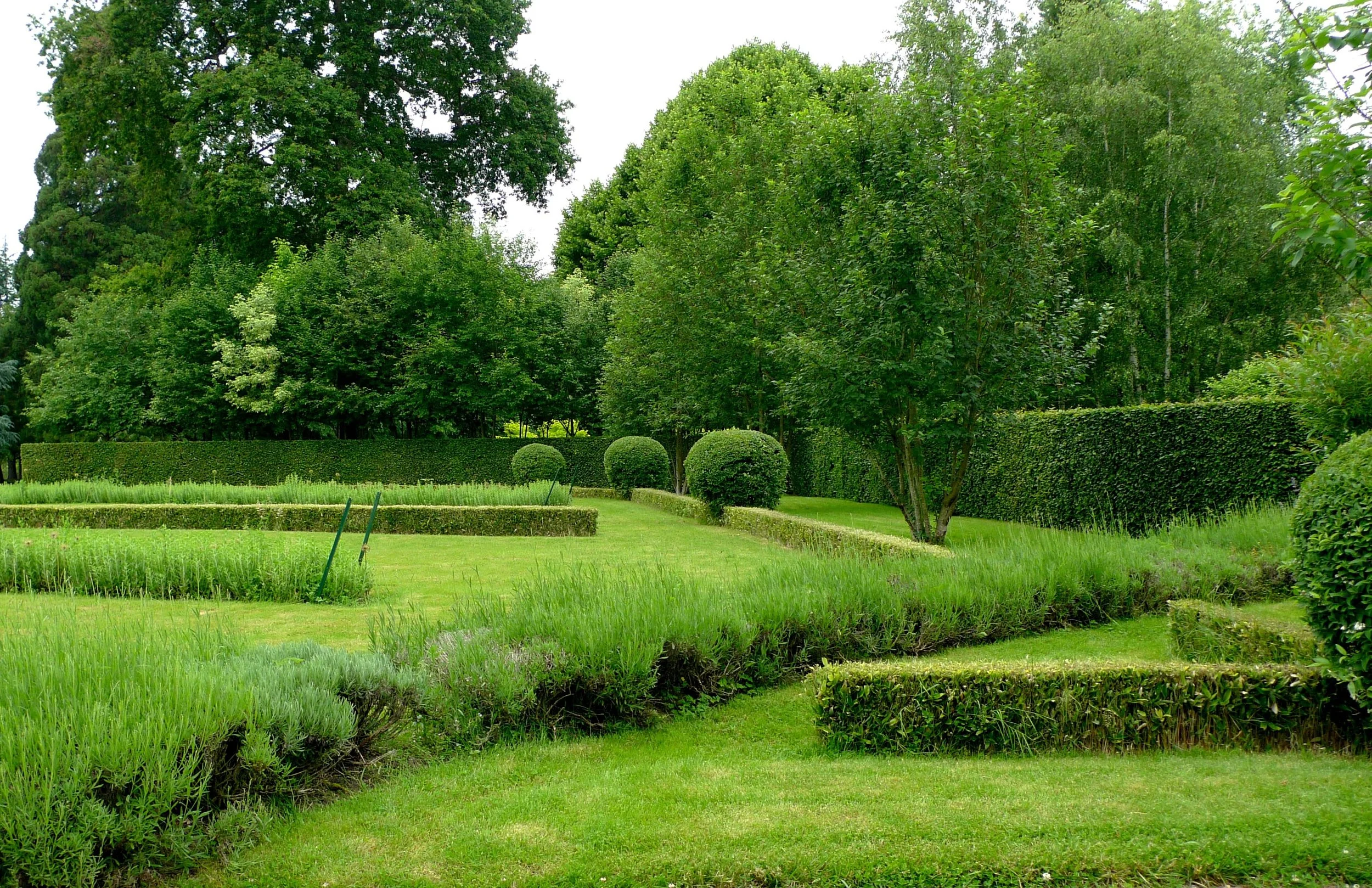 It's green, but it's not boring