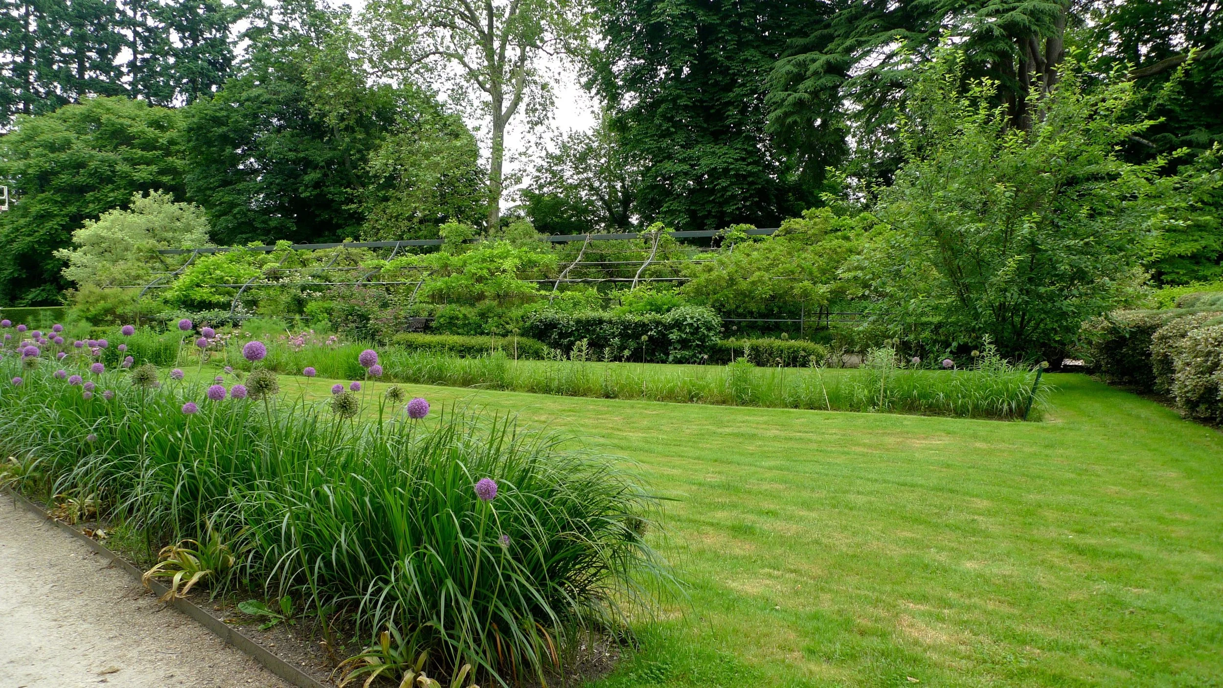 our view from the side