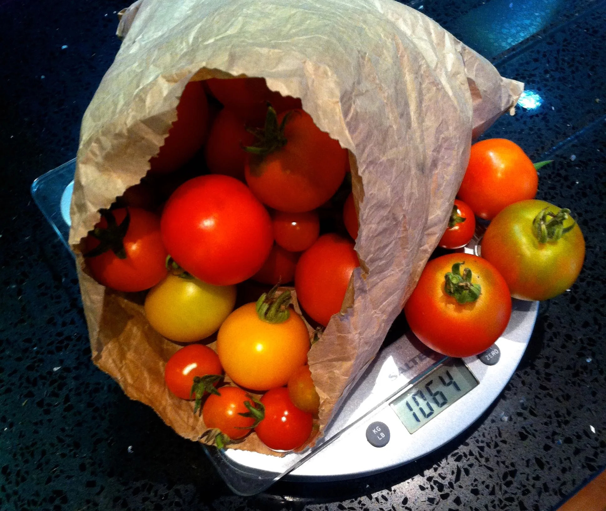 a kilo of home grown tomatoes