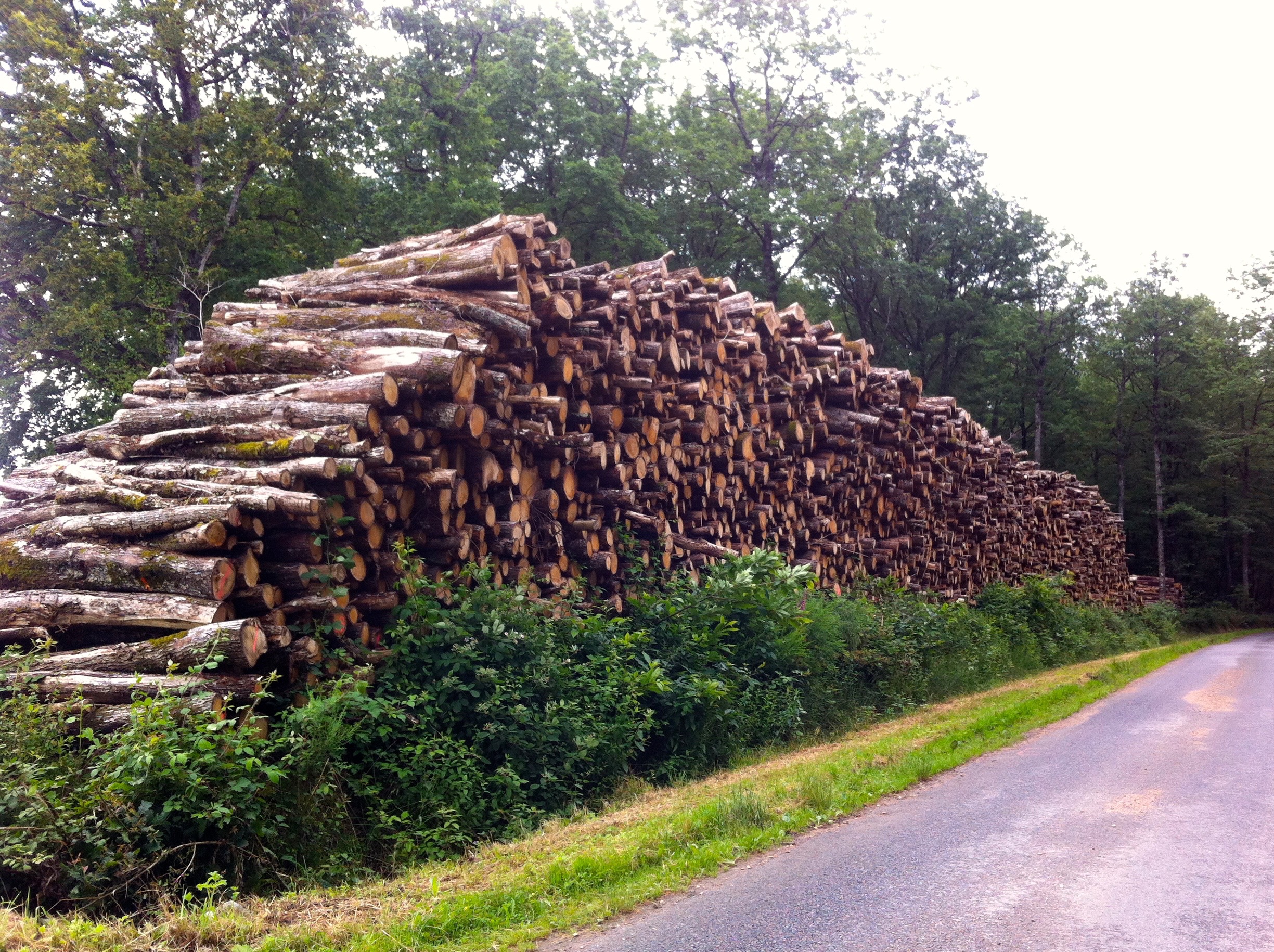 An even larger log pile