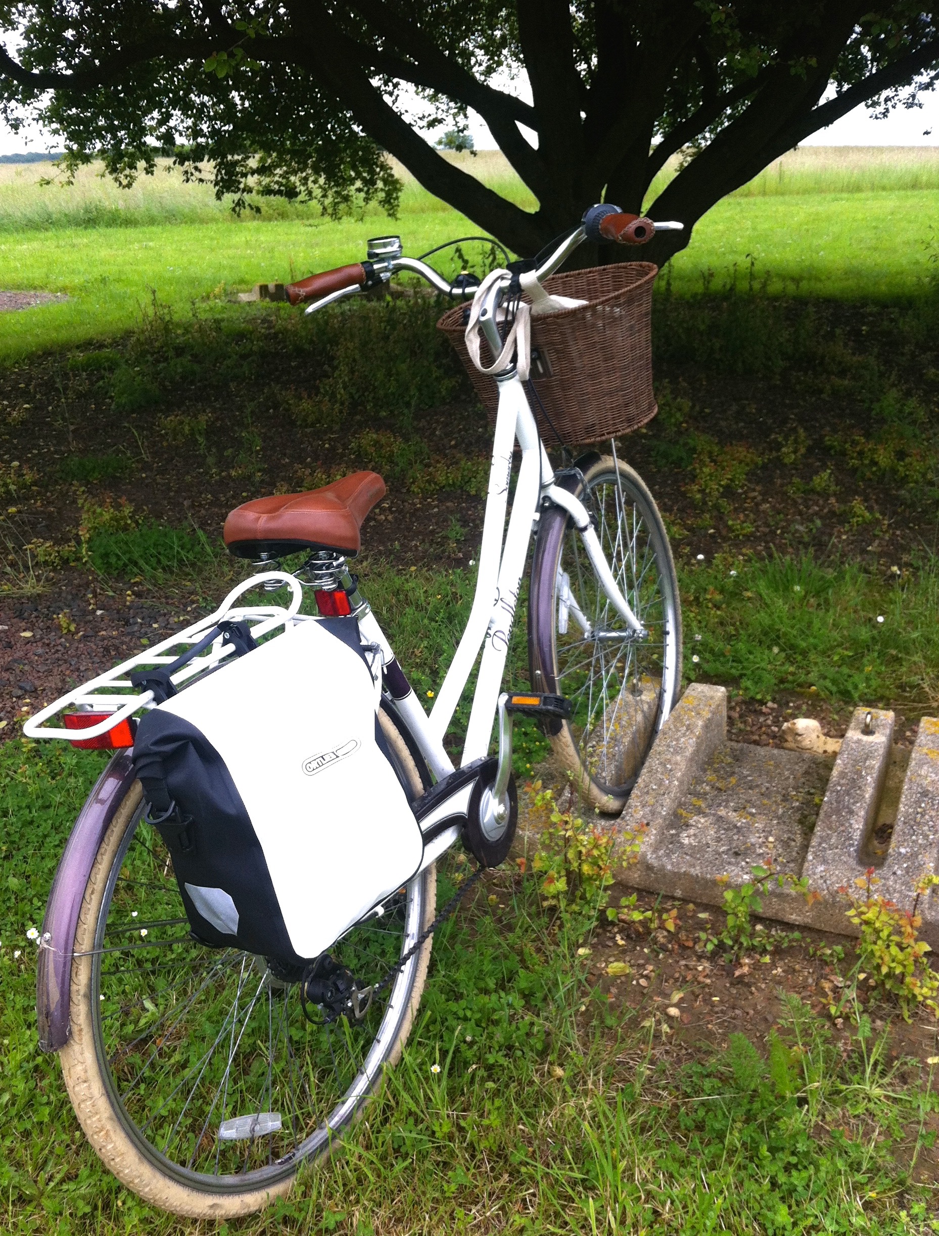 Parking my bike as you do