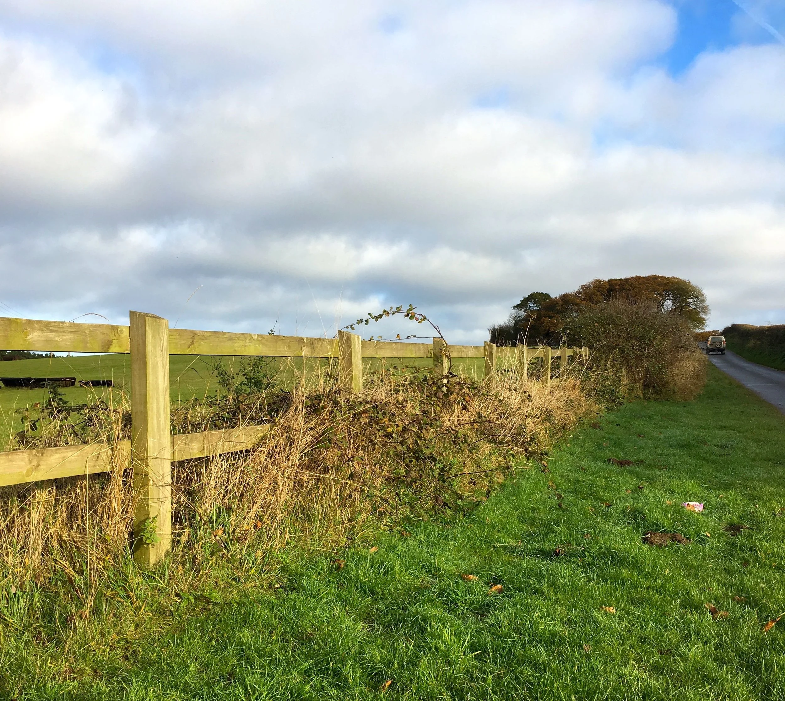 Norfolk countryside