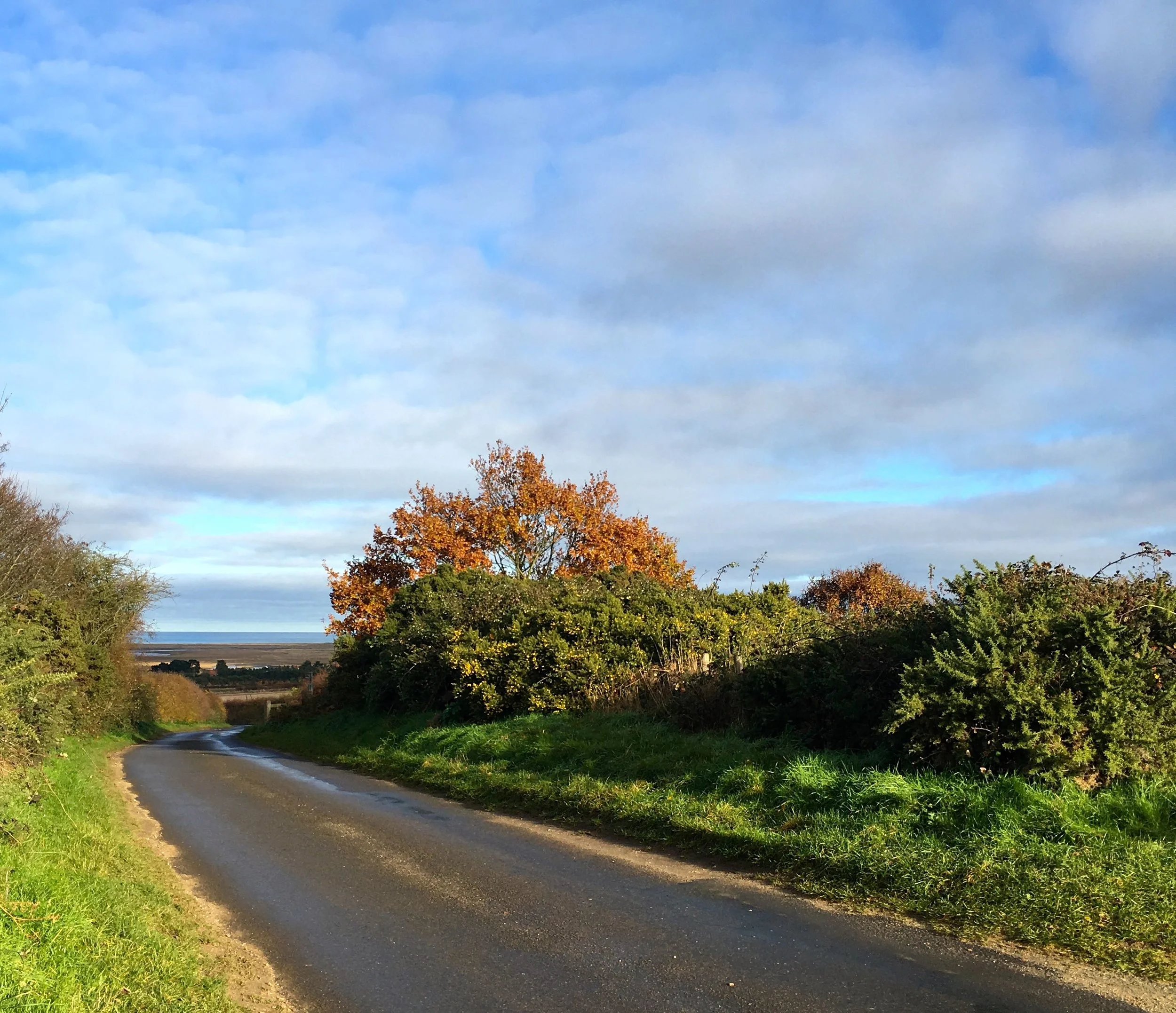 barrow common in north norfolk