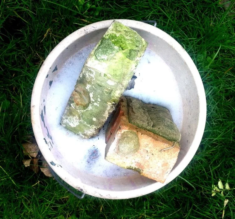 Pine cones float so weigh them down with bricks