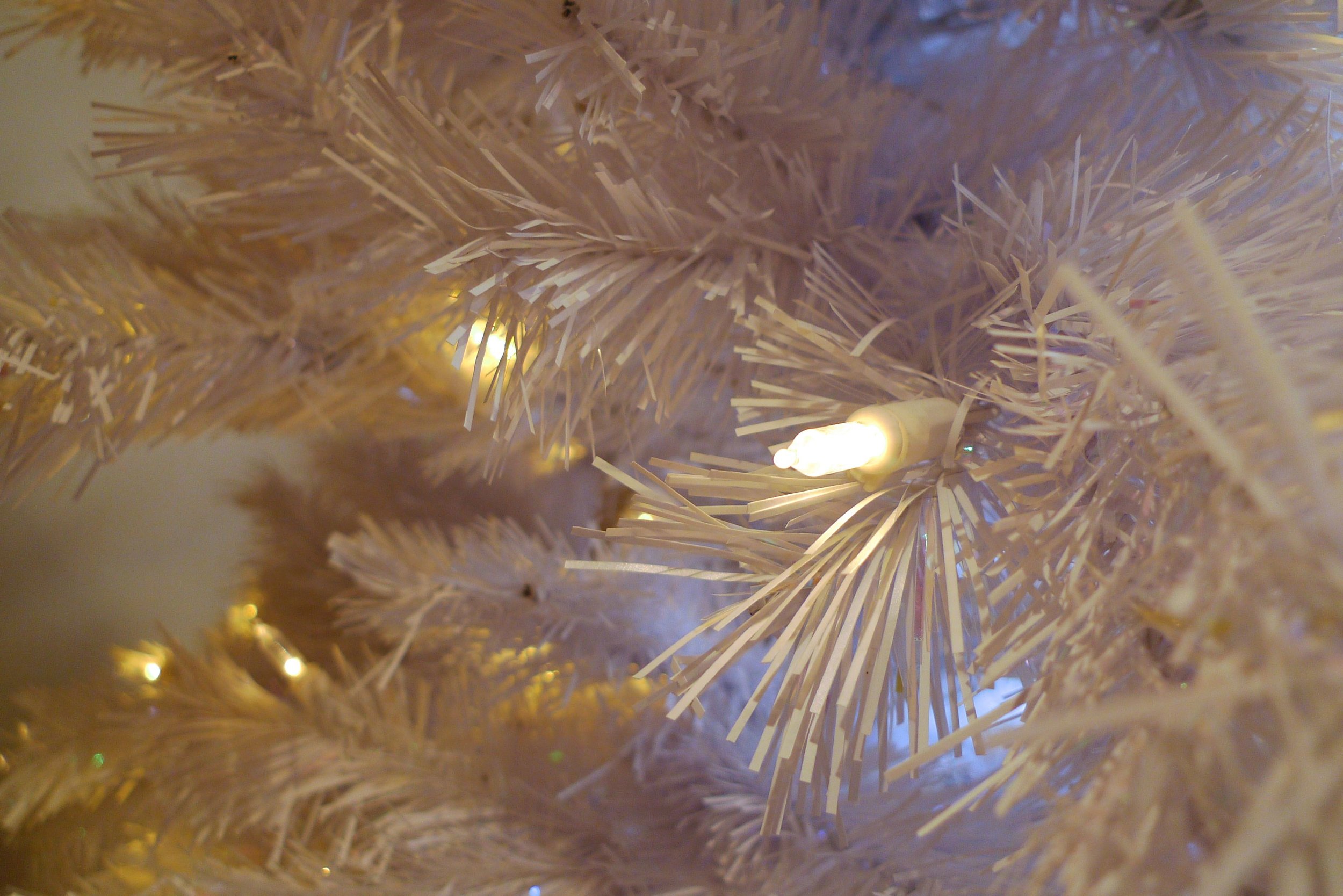 Checking the lights on the christmas tree is always a big moment isn't it
