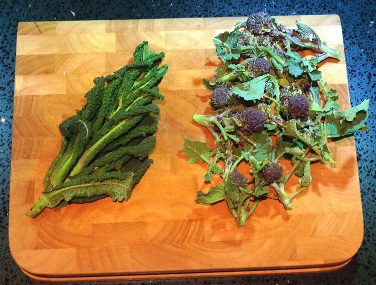 March - picking our Purple Sprouting Broccoli