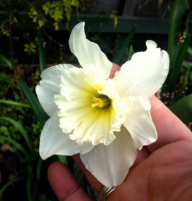 March - signs of Spring