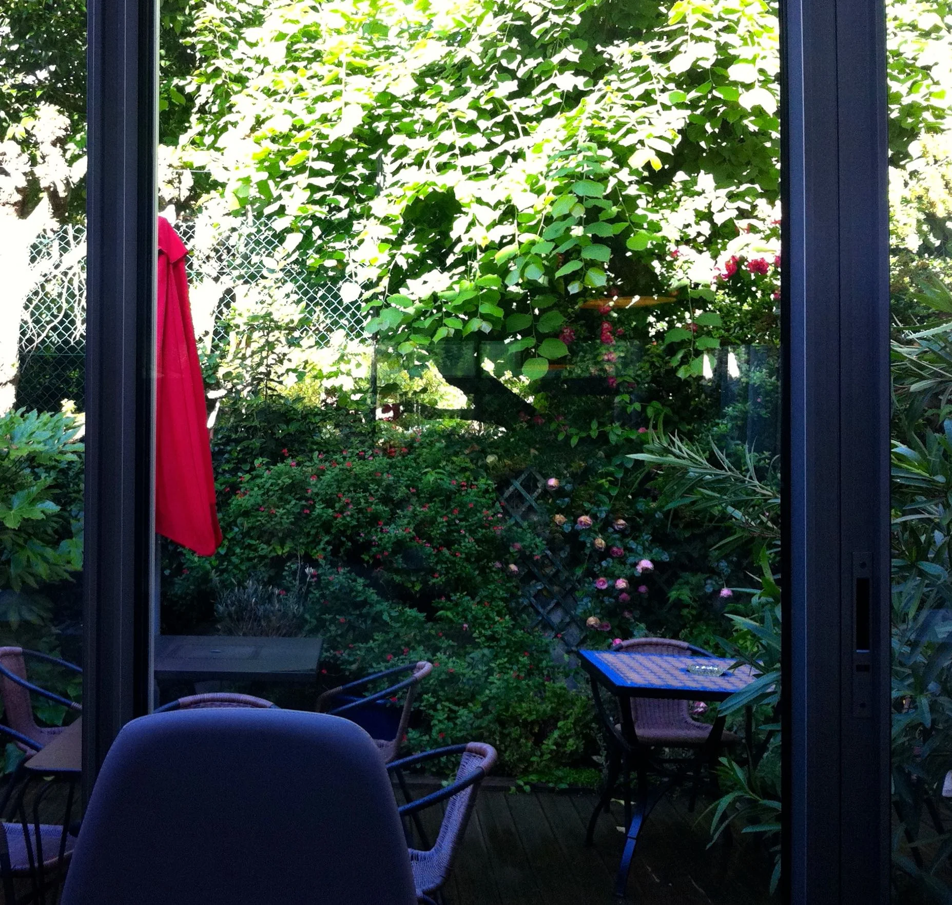 A small outside space for guests which was an oasis of green in the city