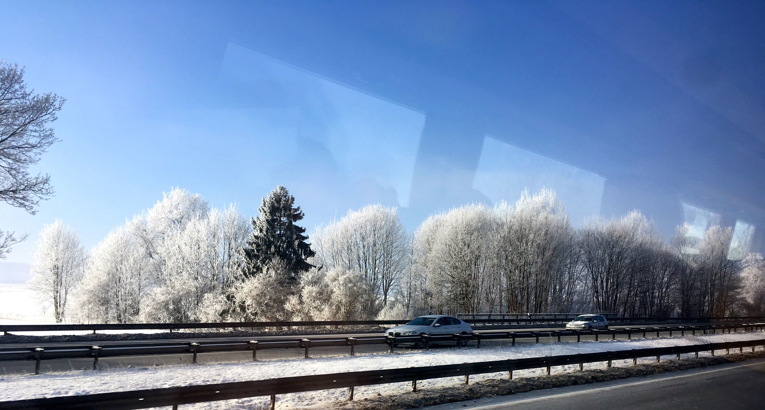 trees covered in snow between munich and kufstein