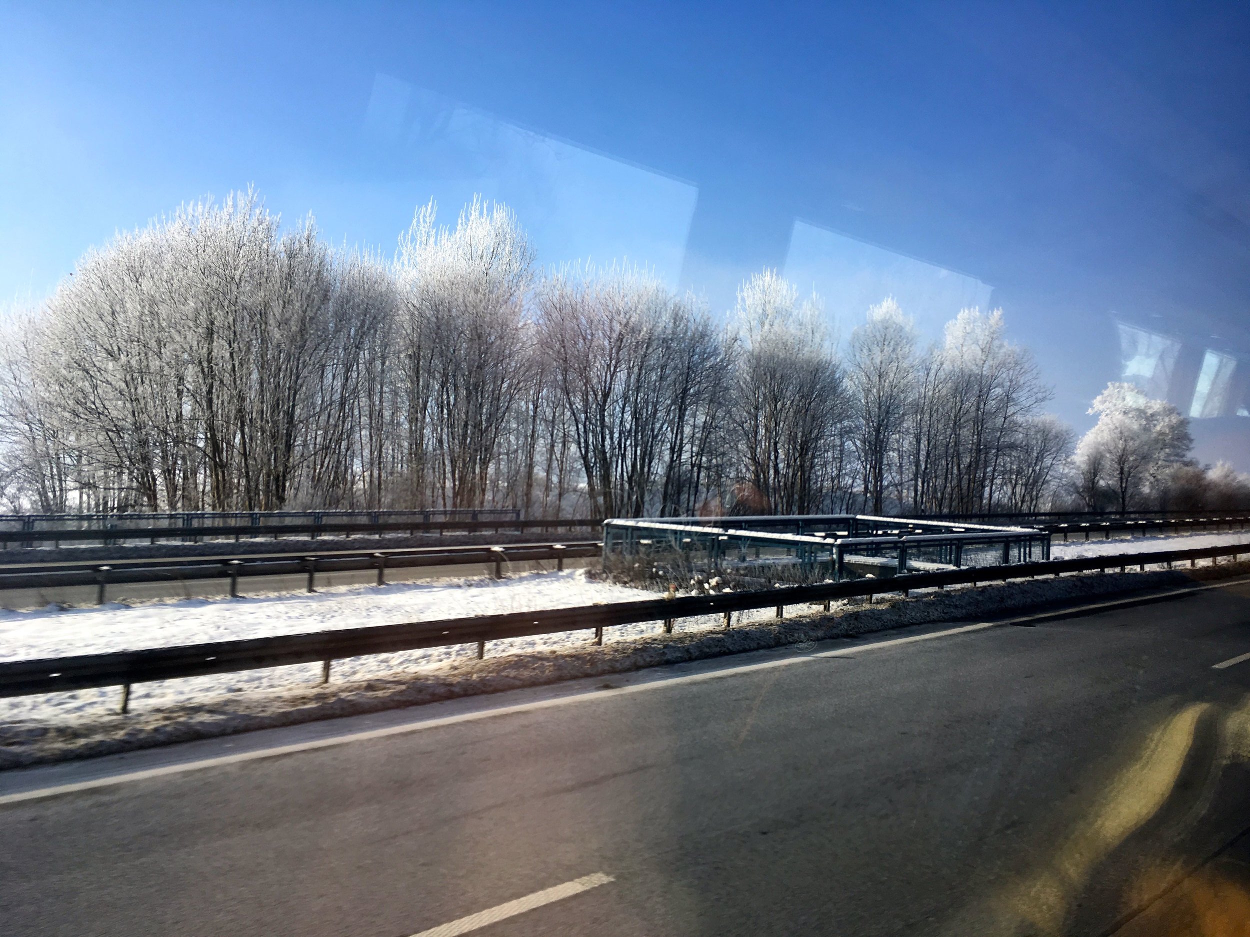 trees covered in snow between munich and kufstein