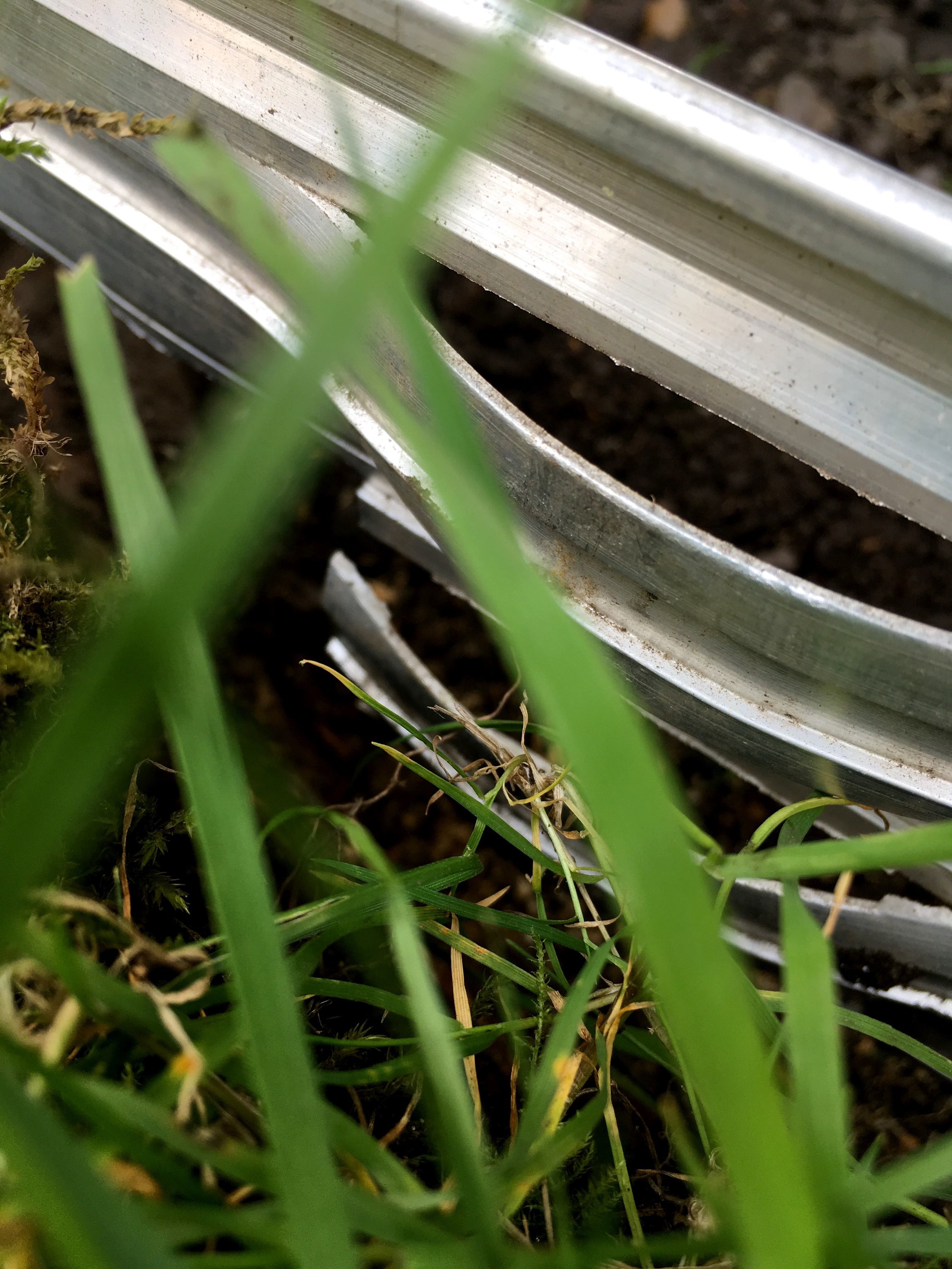A close up of the tricky edging section and the grass