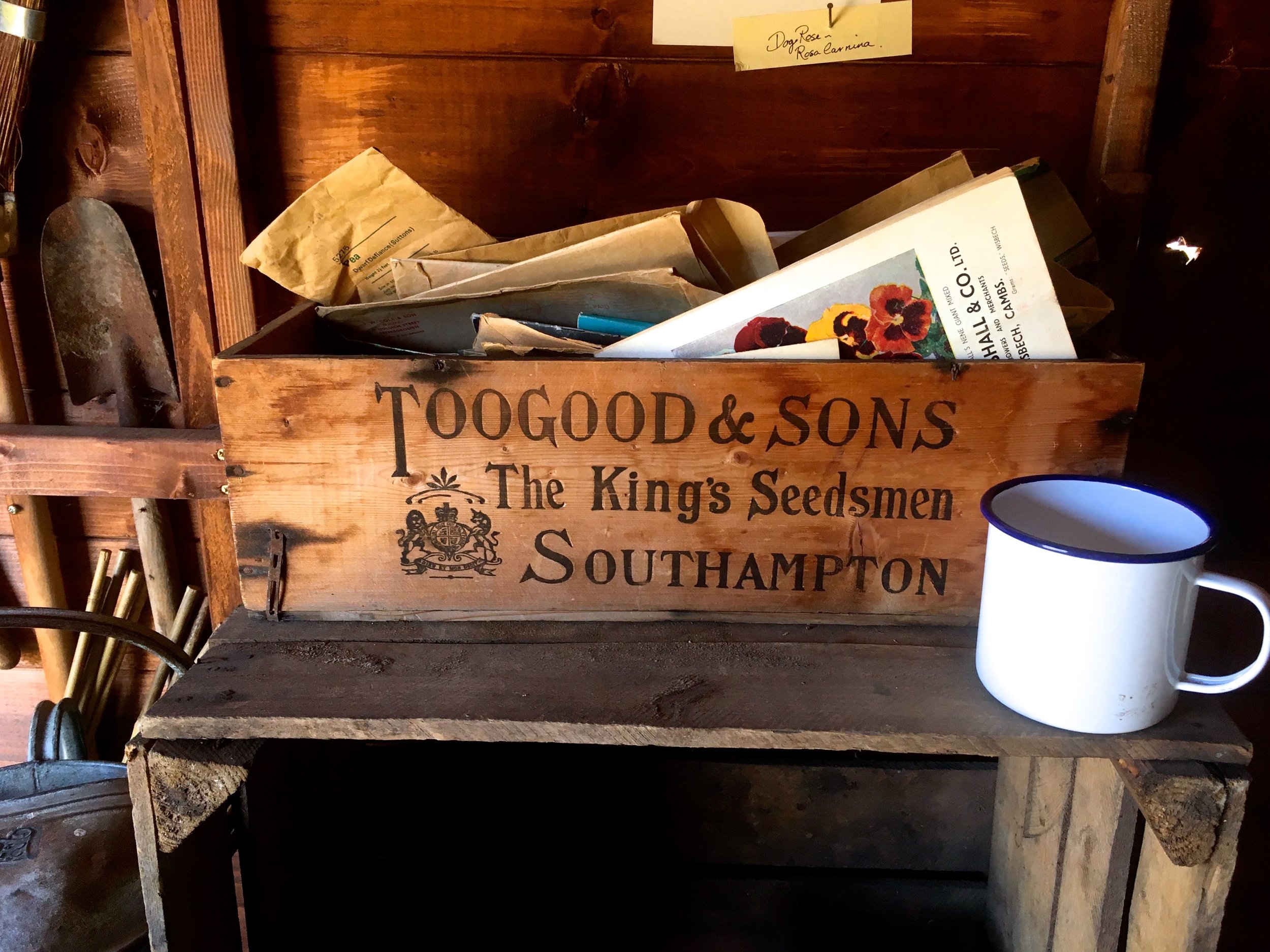 Boxes of seeds and a cup put down to enable a two-handed rummage