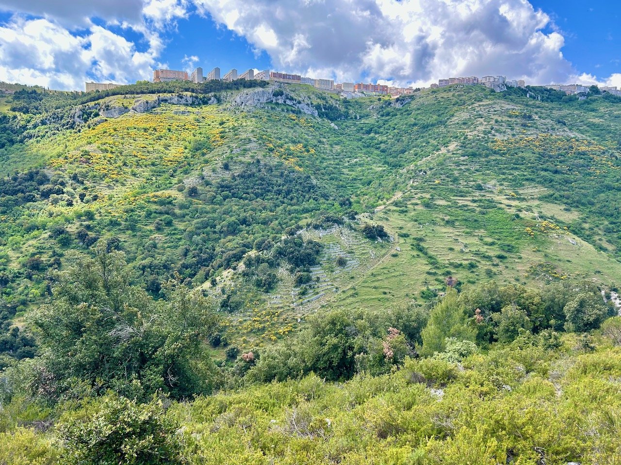 Looking up from the bottom of the valley to Monte Sant'Angelo - Gargano's highest village