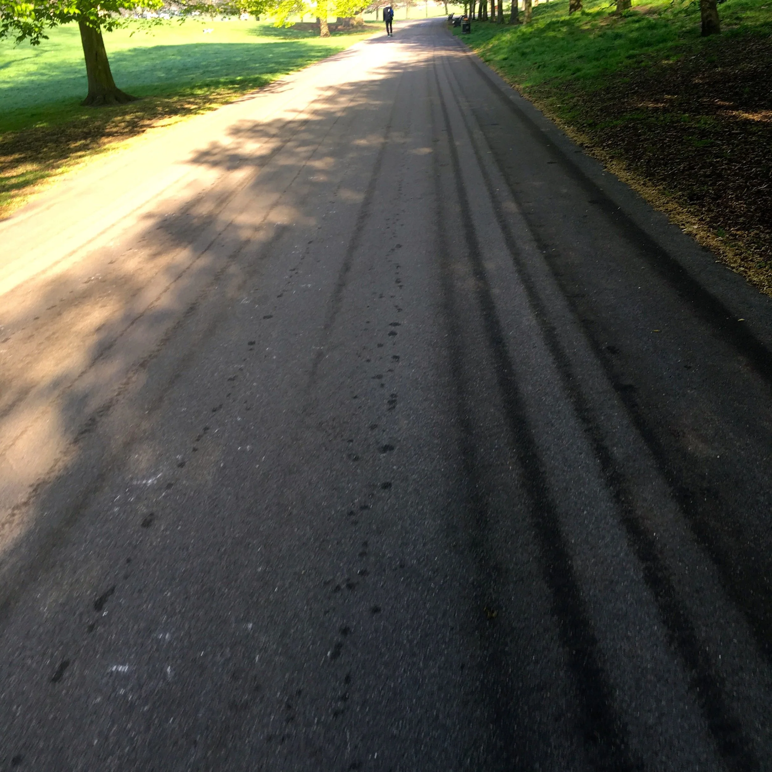 there were sunny walks to work on my walking commute through greenwich park