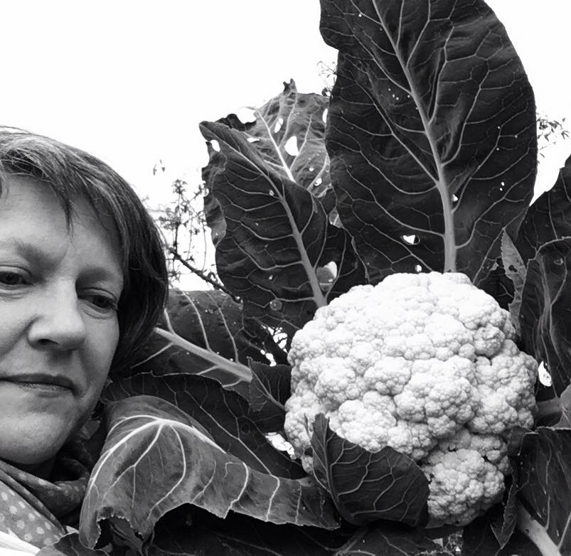 CAULIFLOWER SUCCESS IN 2016
